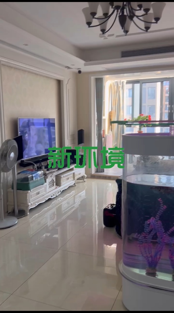 鑫成君泰  2室2厅1卫   61.80万客厅