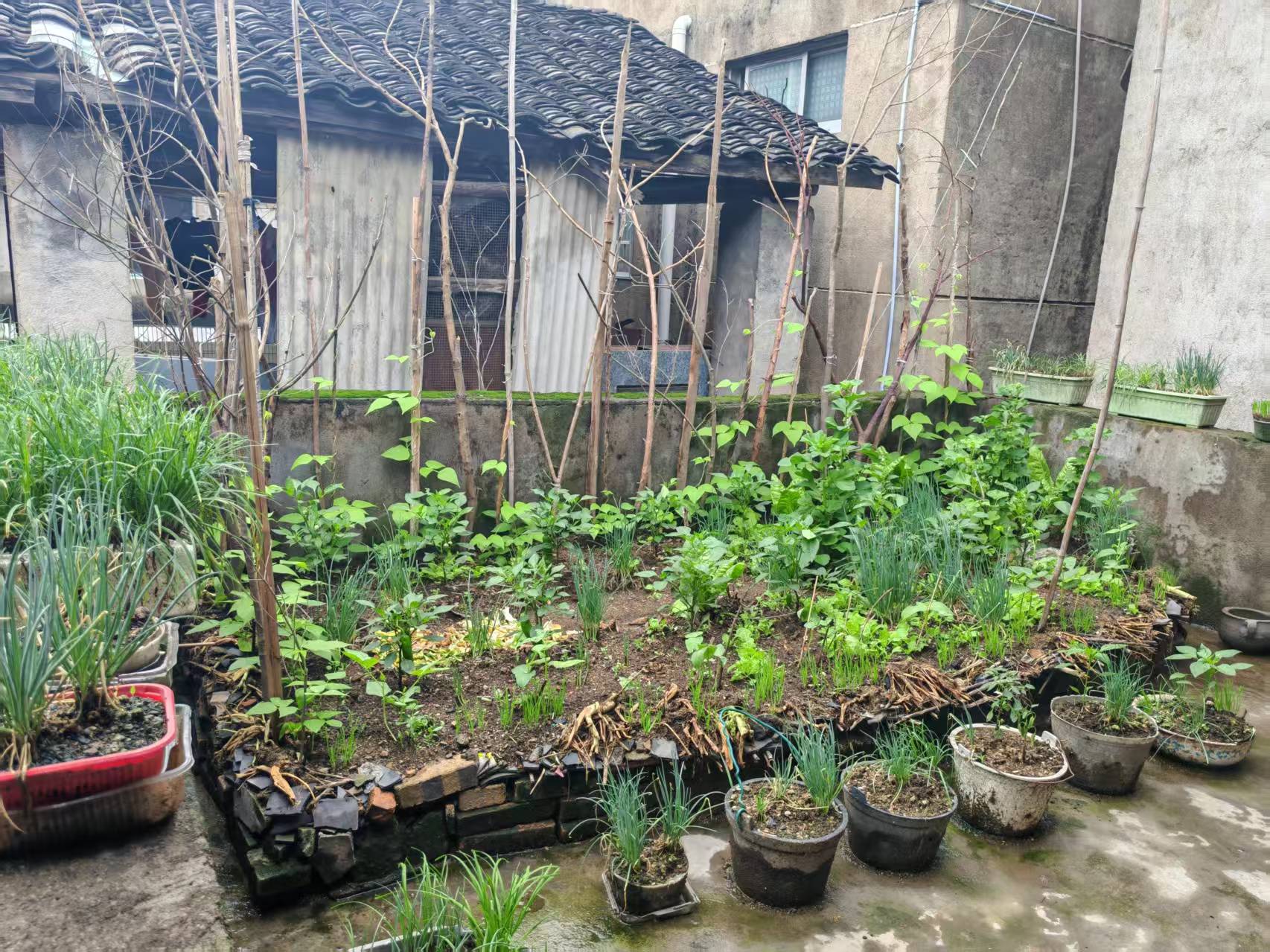 市中心散盘 7室2厅3卫 100.0万 市中心散盘 7室2厅3卫 100.0万客厅