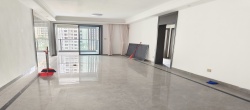 天街华府（海南新天地）  2室1厅1卫   200.00万
