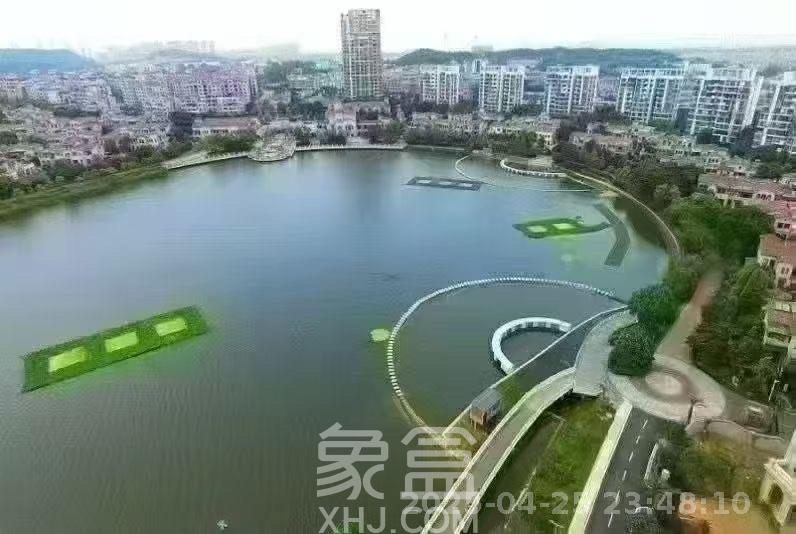 兴旺正佳广场（金石雅苑）  1室2厅1卫    3000.0元/月室内图