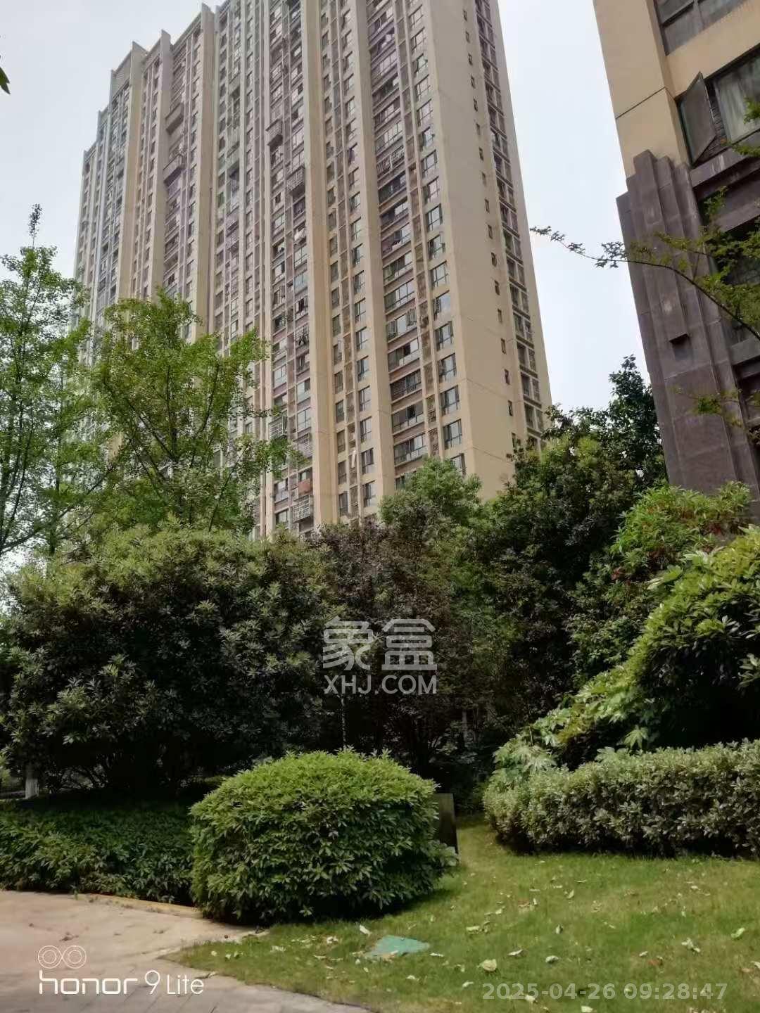 兰亭都荟（璟峰苑）  1室2厅1卫   2600.00元/月室内图1