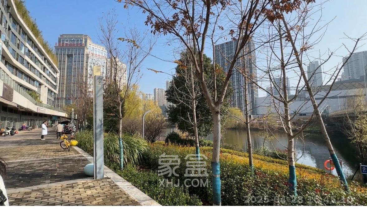 富力十号  4室2厅2卫   8000.00元/月室内图