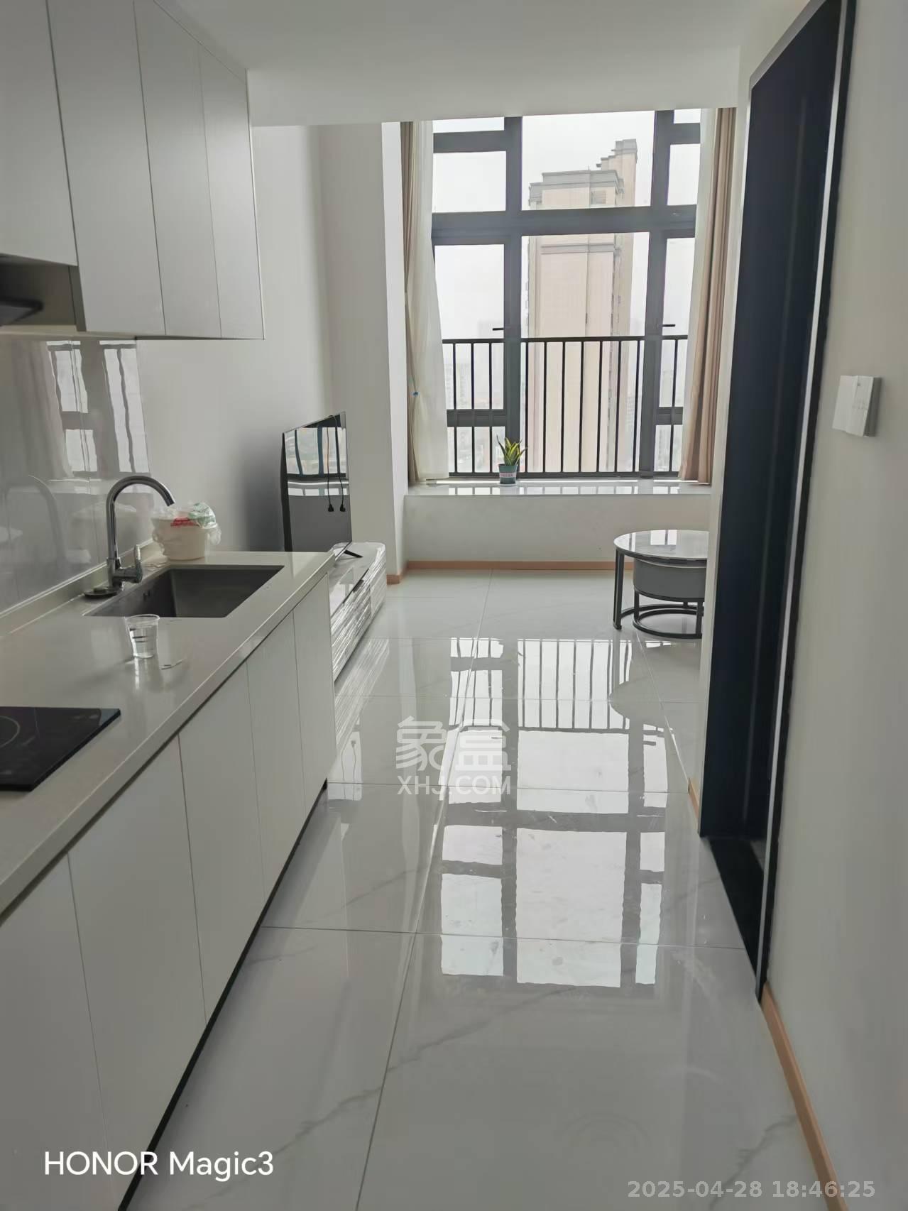 映客龙湖璟翠公馆（映客龙湖璟翠中心）   41.63㎡      1800.0元/月室内图