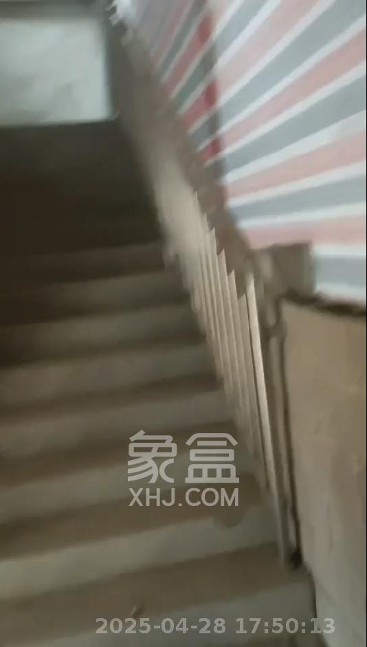 兴汝金城   70.0㎡     3100.00元/月室内图
