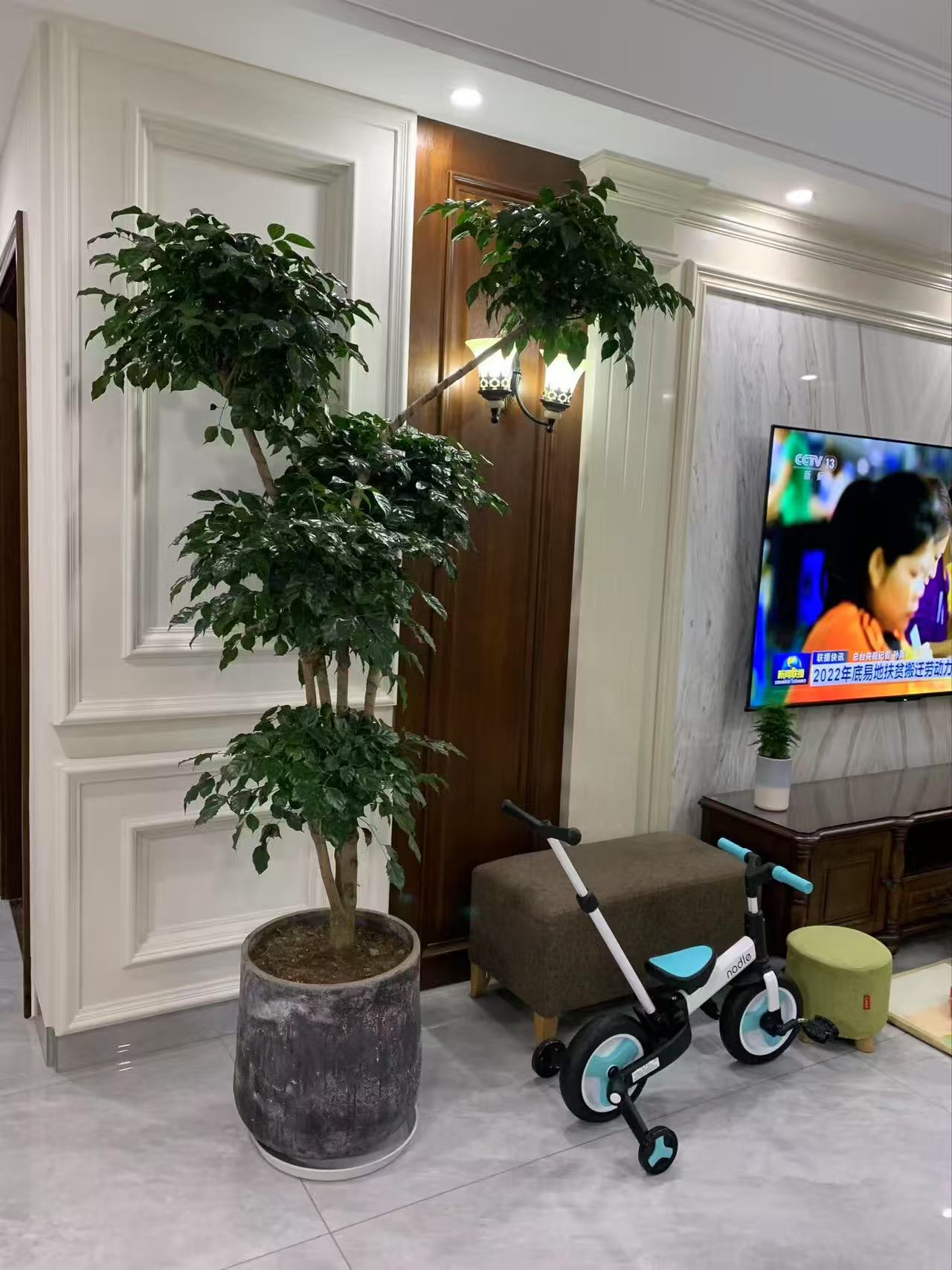 长房星昇公馆  4室2厅3卫   4500.00元/月户型图