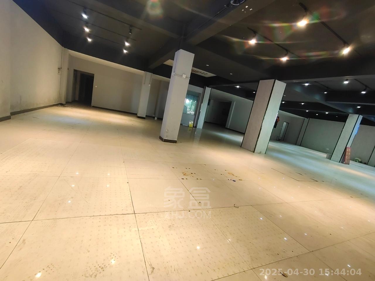 锦云综合楼  8室4厅4卫   11000.00元/月室内图