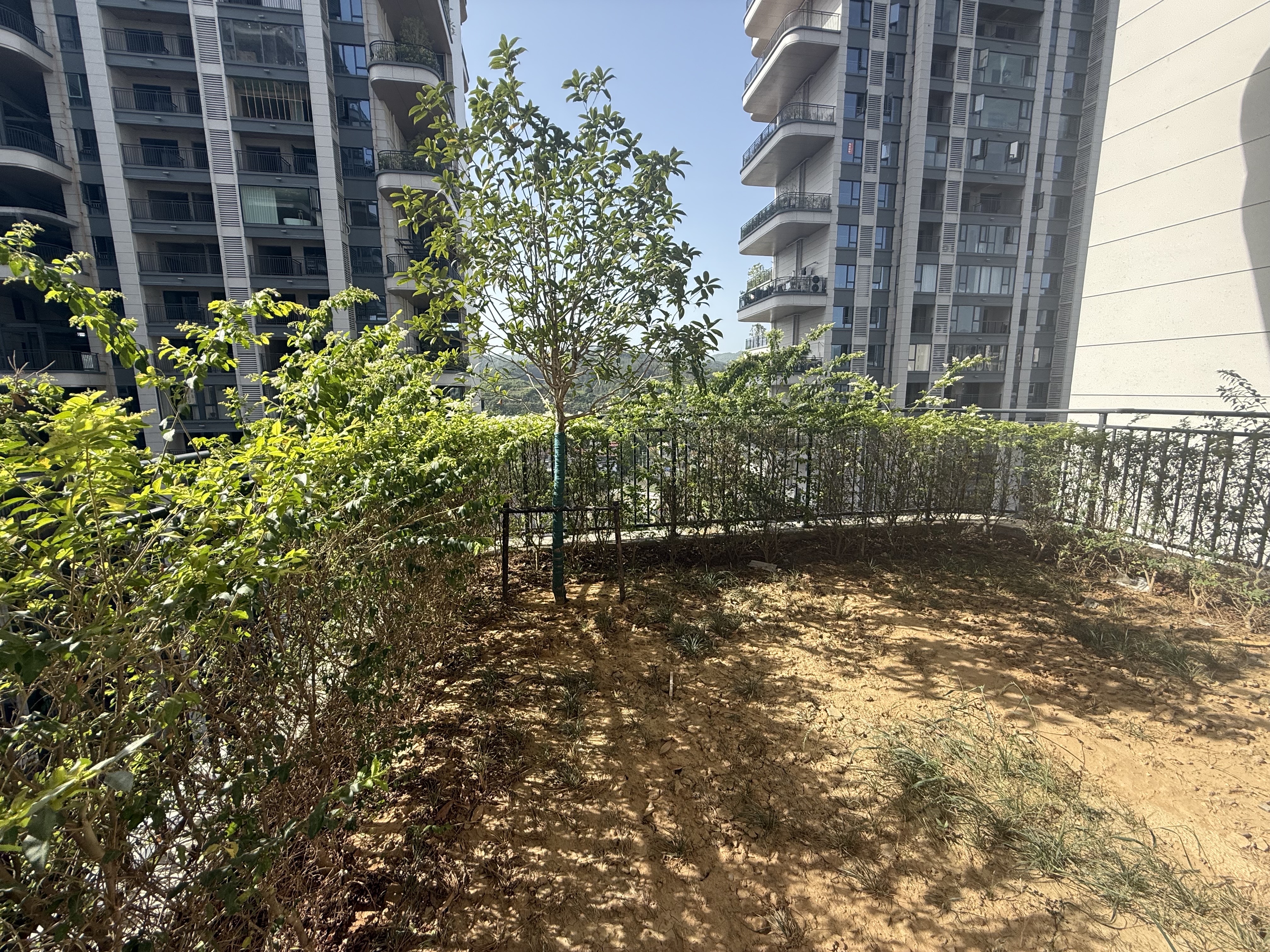 新外滩江苑 3室2厅2卫 82.0万 新外滩江苑 3室2厅2卫 82.0万客厅