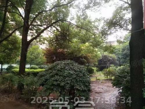 晨光花园  2室2厅1卫    1300.0元/月室内图