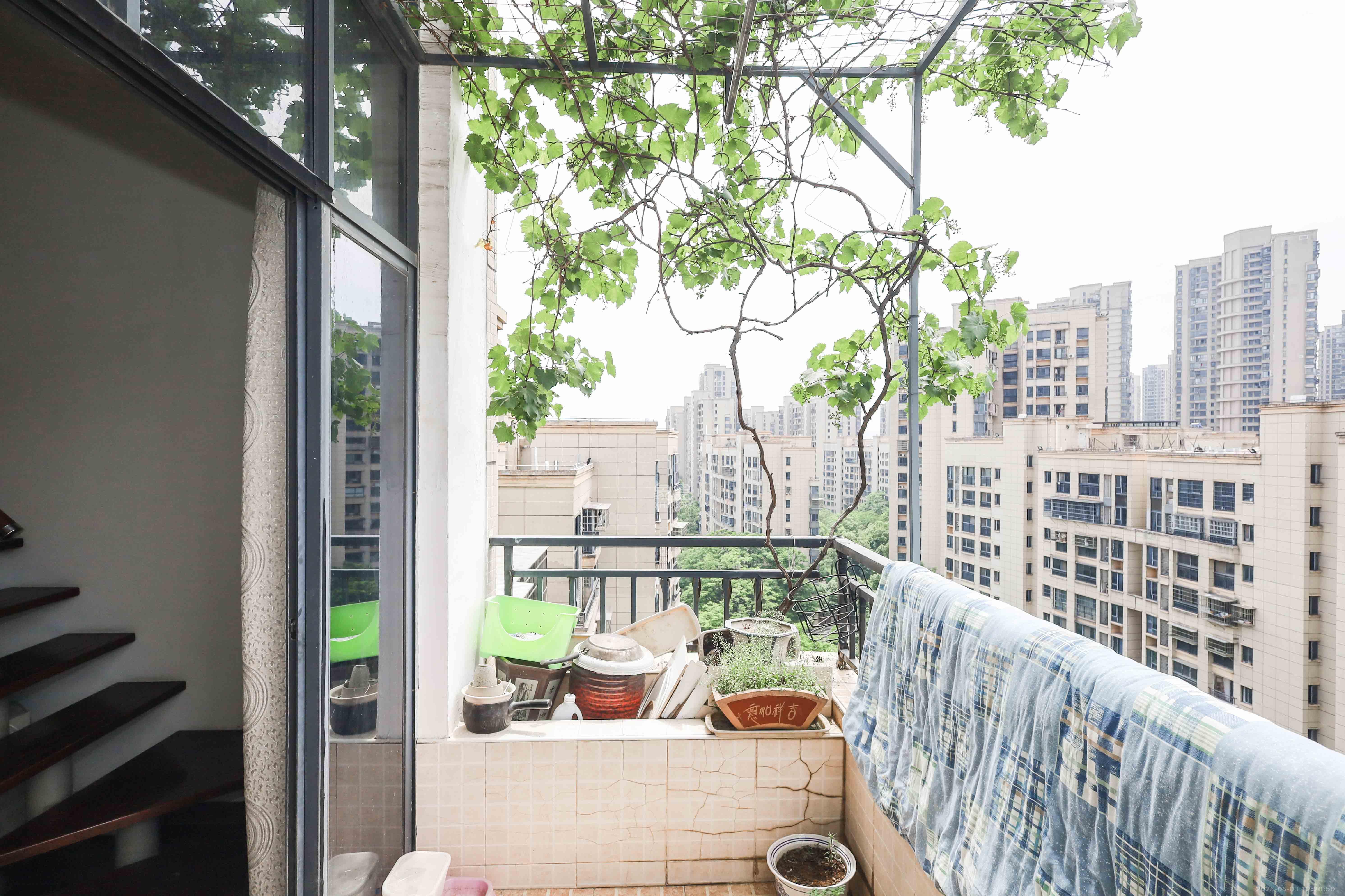 保利麓谷林语A区 3室2厅1卫 62.8万 保利麓谷林语A区 3室2厅1卫 62.8万阳台