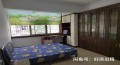 政府统建房  3室2厅1卫   1100.00元/月