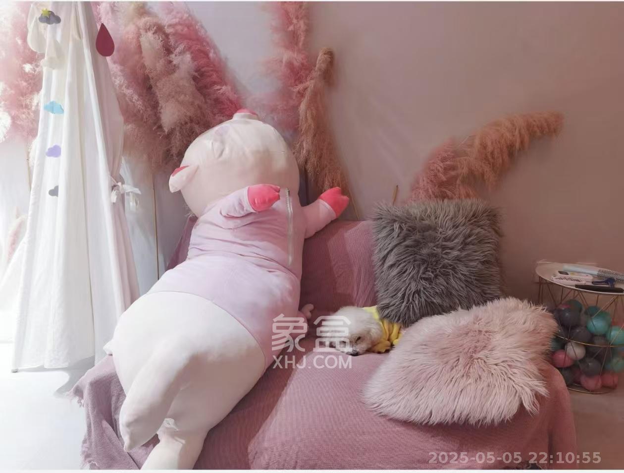 和府 1室1厅1卫 1600.0元/月 和府 1室1厅1卫 1600.0元/月室内图