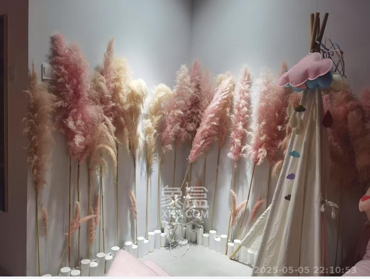 和府 1室1厅1卫 1600.0元/月 和府 1室1厅1卫 1600.0元/月室内图