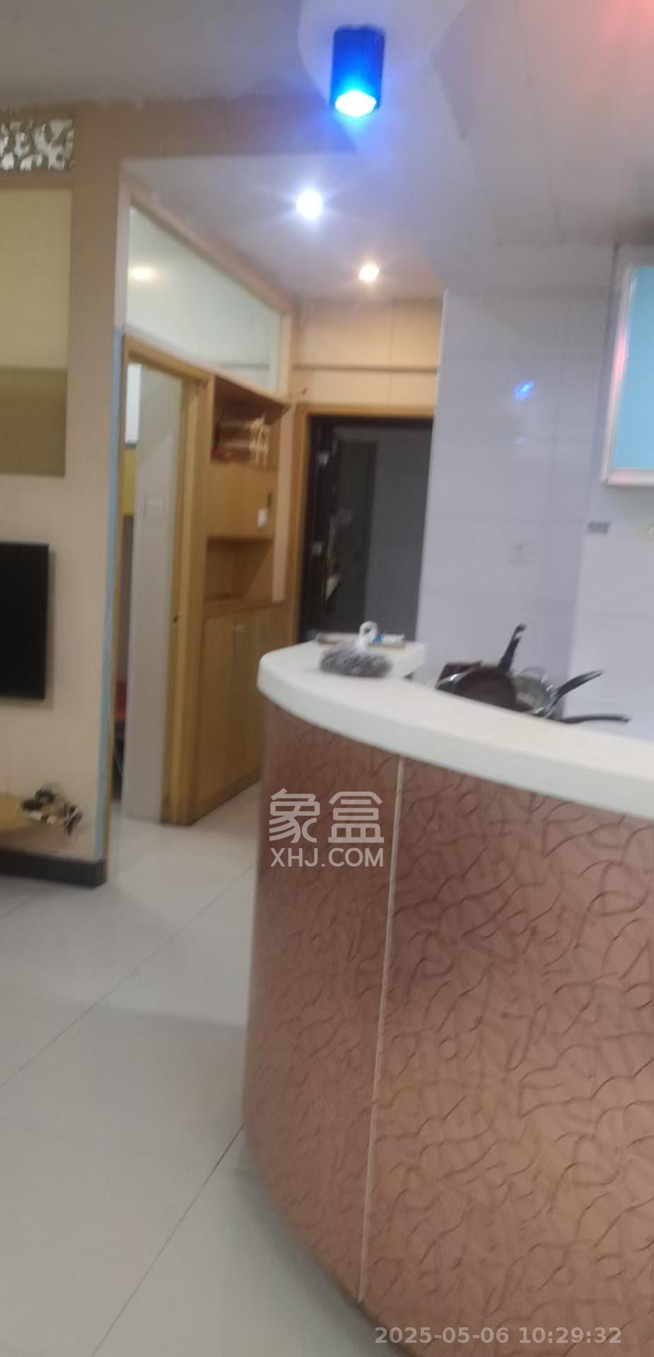 摩天一号  1室1厅1卫   2000.00元/月室内图