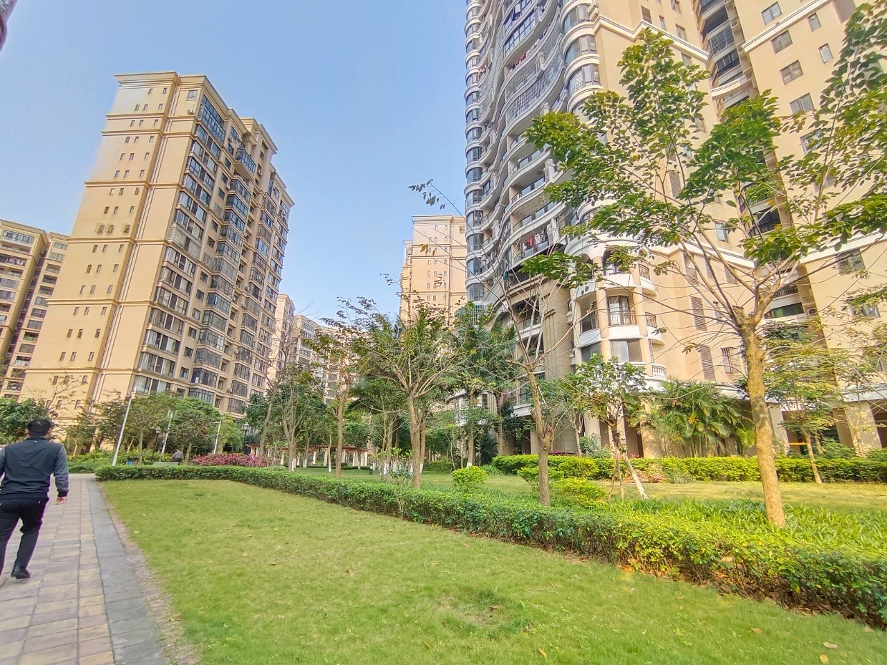 滨江帝景二期（三期）  3室2厅2卫   215.00万户型图