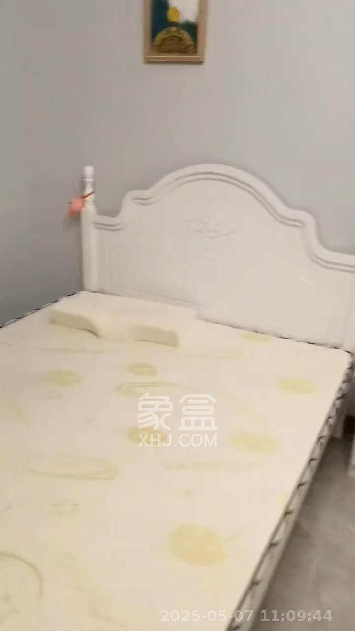 中南国际眼镜城（中伟商业中心）  1室1厅1卫   1350.00元/月