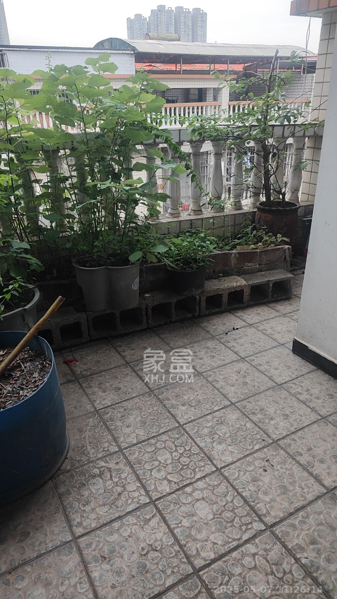 星沙汽配城（大塘村农机市场）  1室2厅1卫   700.00元/月室内图