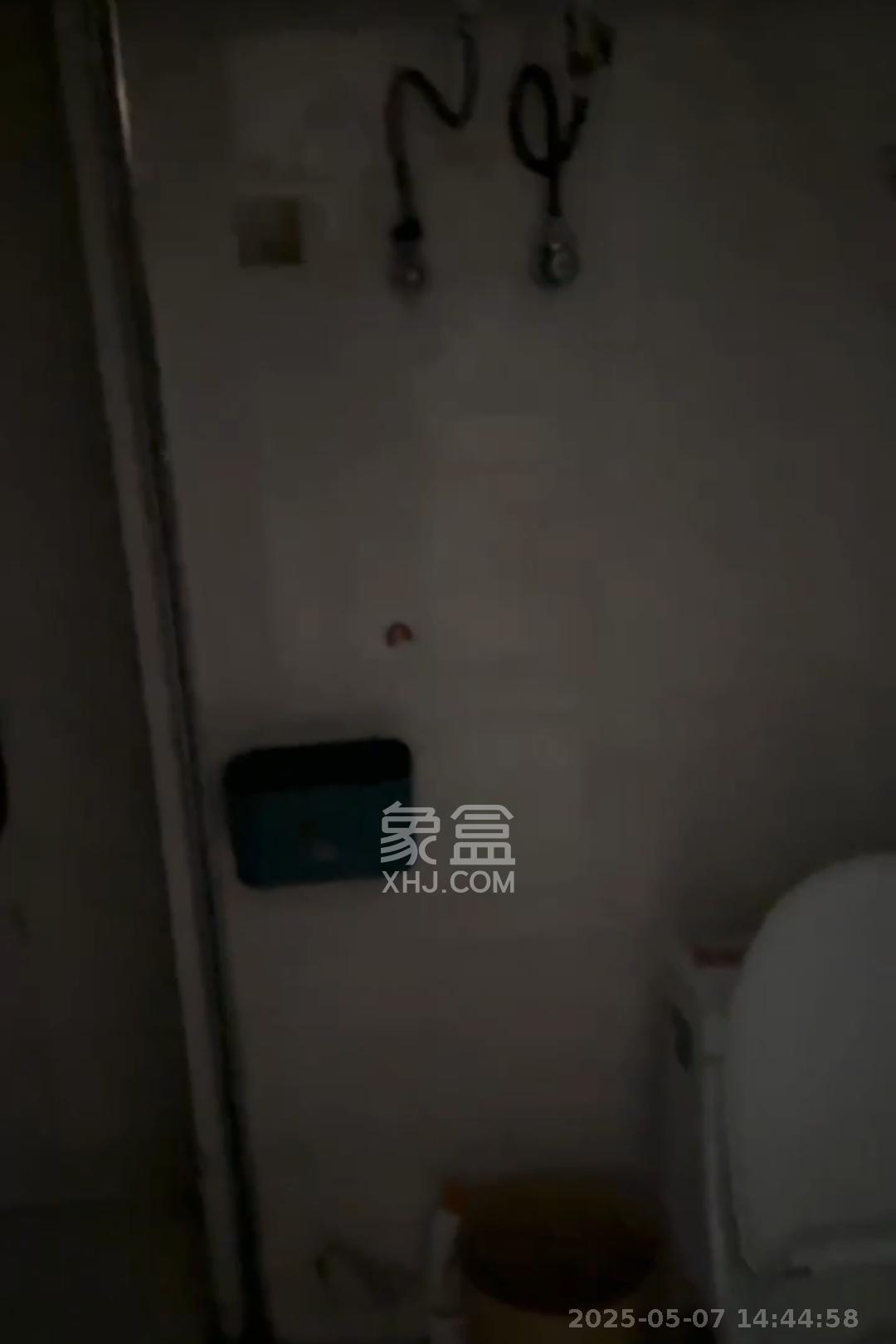 洋湖时代  1室1厅1卫   1200.00元/月室内图