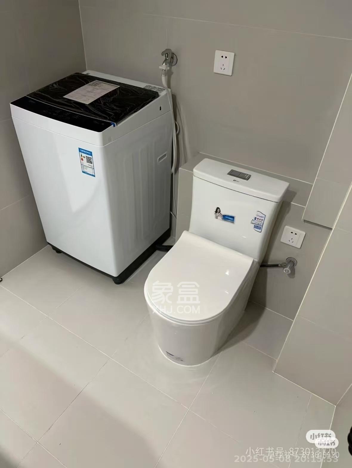 龙湖铂金岛  2室1厅1卫   2000.00元/月室内图