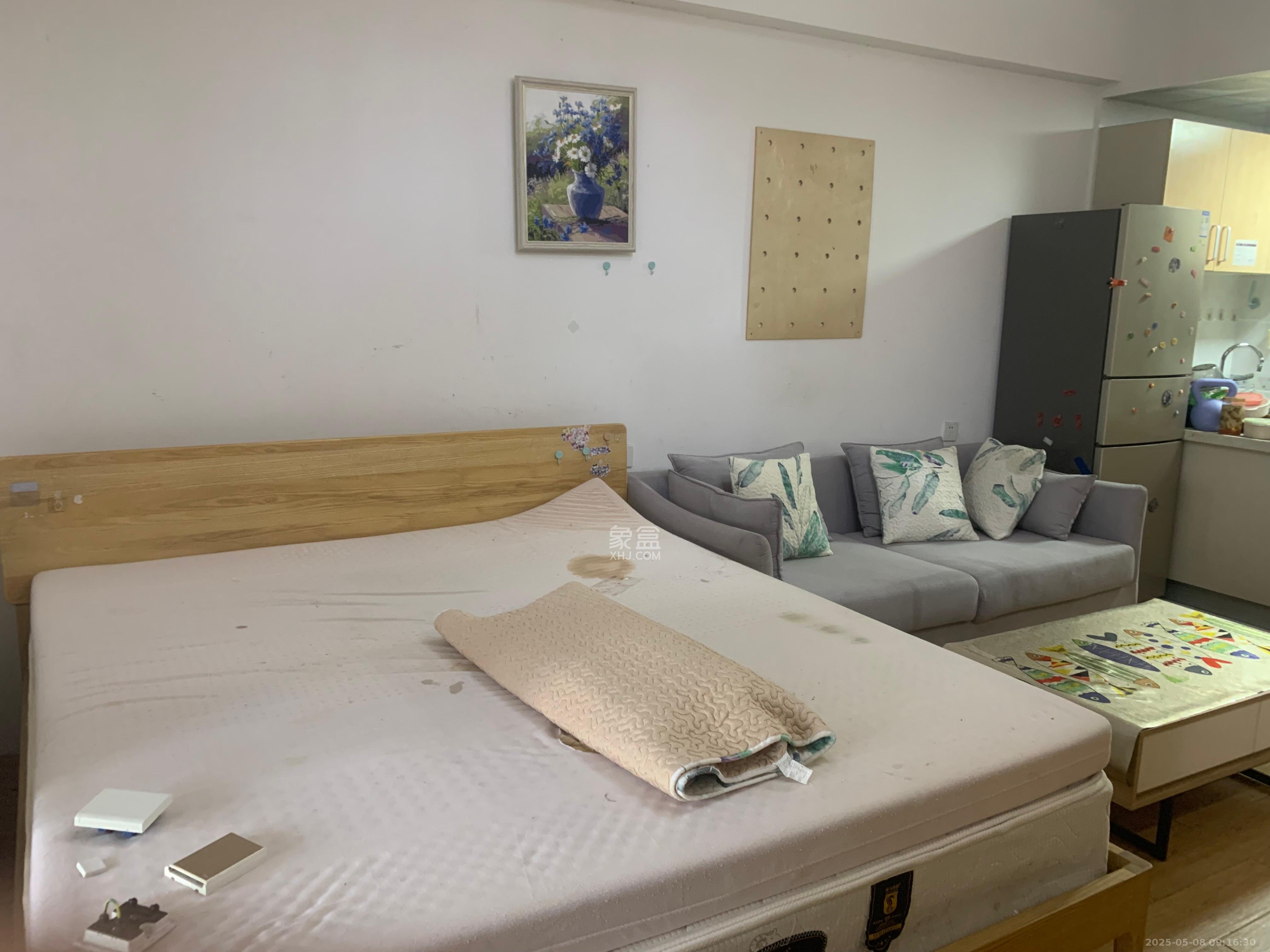 中建芙蓉嘉苑  1室1厅1卫   1500.00元/月室内图