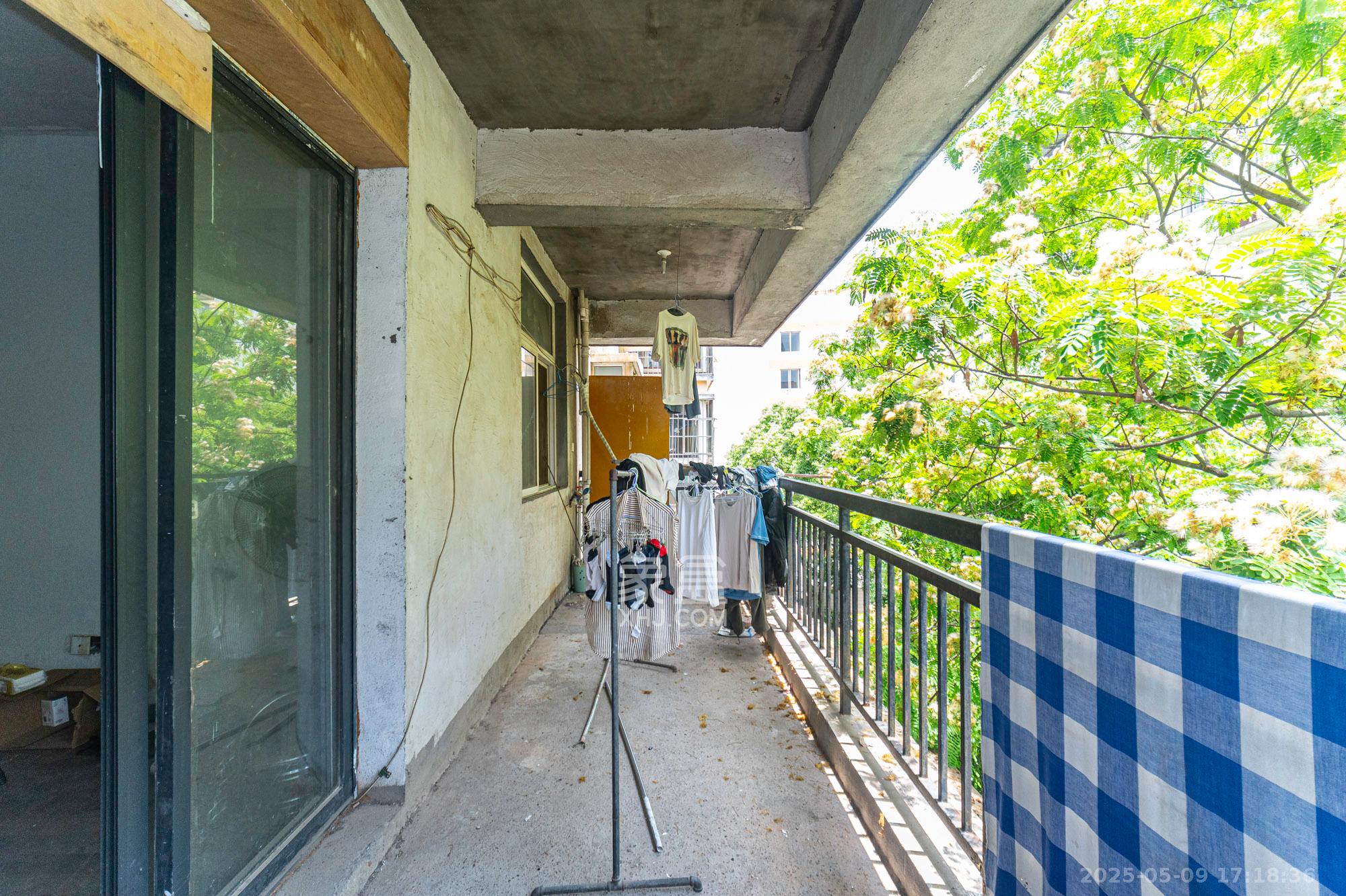 金岸教师公寓  4室1厅2卫    65.0万 金岸教师公寓  4室1厅2卫    65.0万阳台