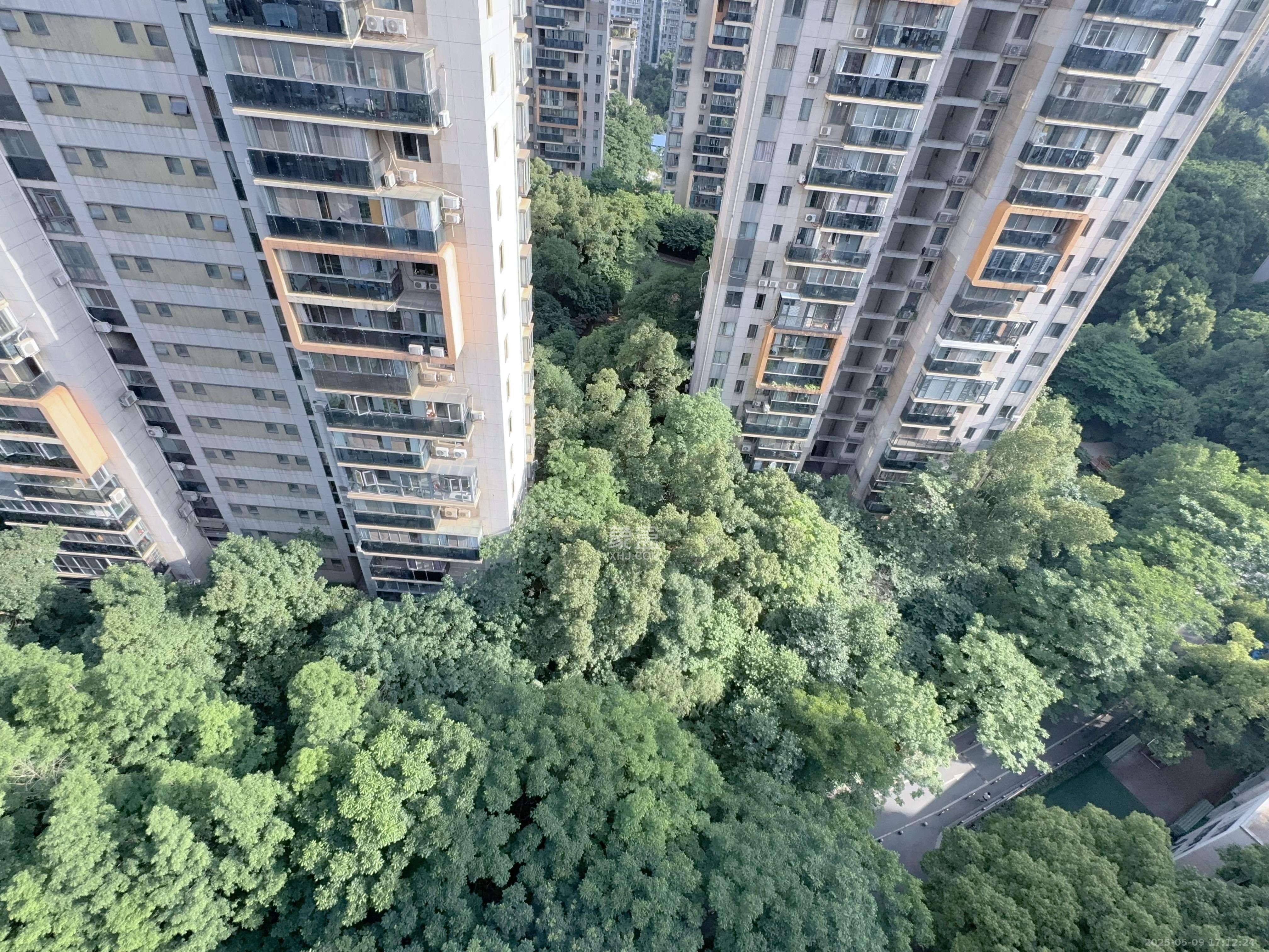 博林金谷 3室2厅2卫 2000.0元/月 博林金谷 3室2厅2卫 2000.0元/月室内图