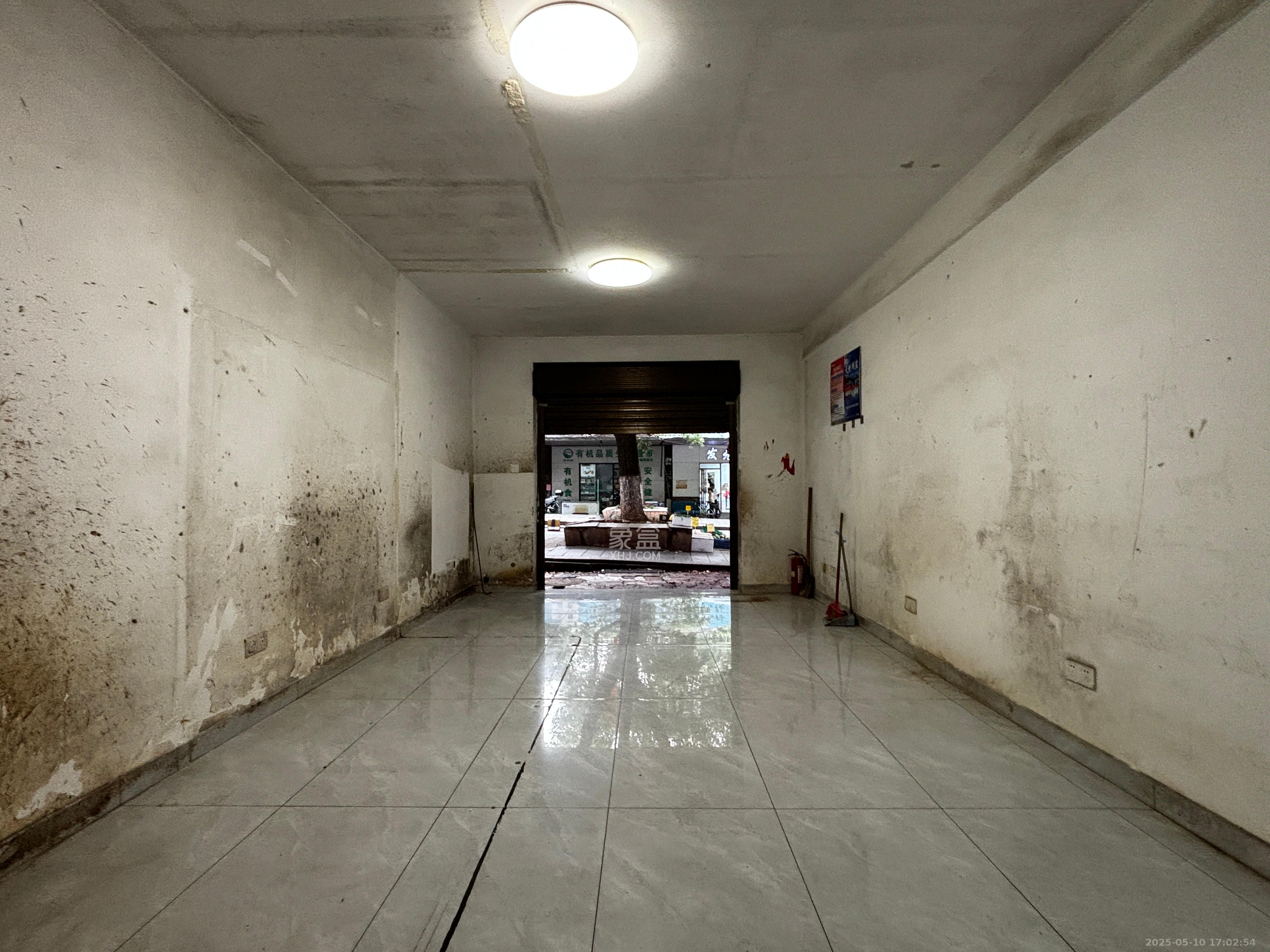 柠檬丽都   38.0㎡      5000.0元/月