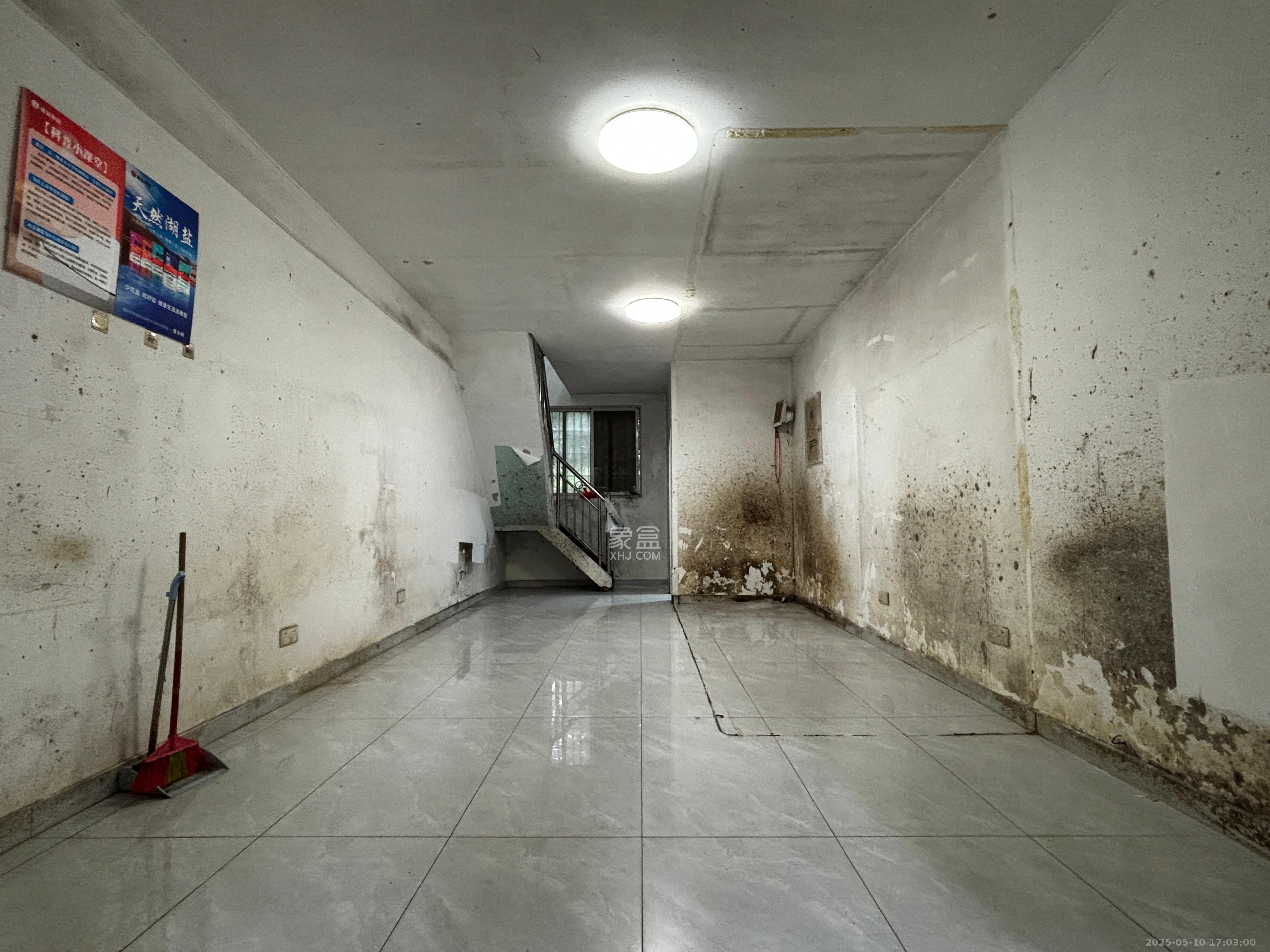 柠檬丽都   38.0㎡      5000.0元/月室内图