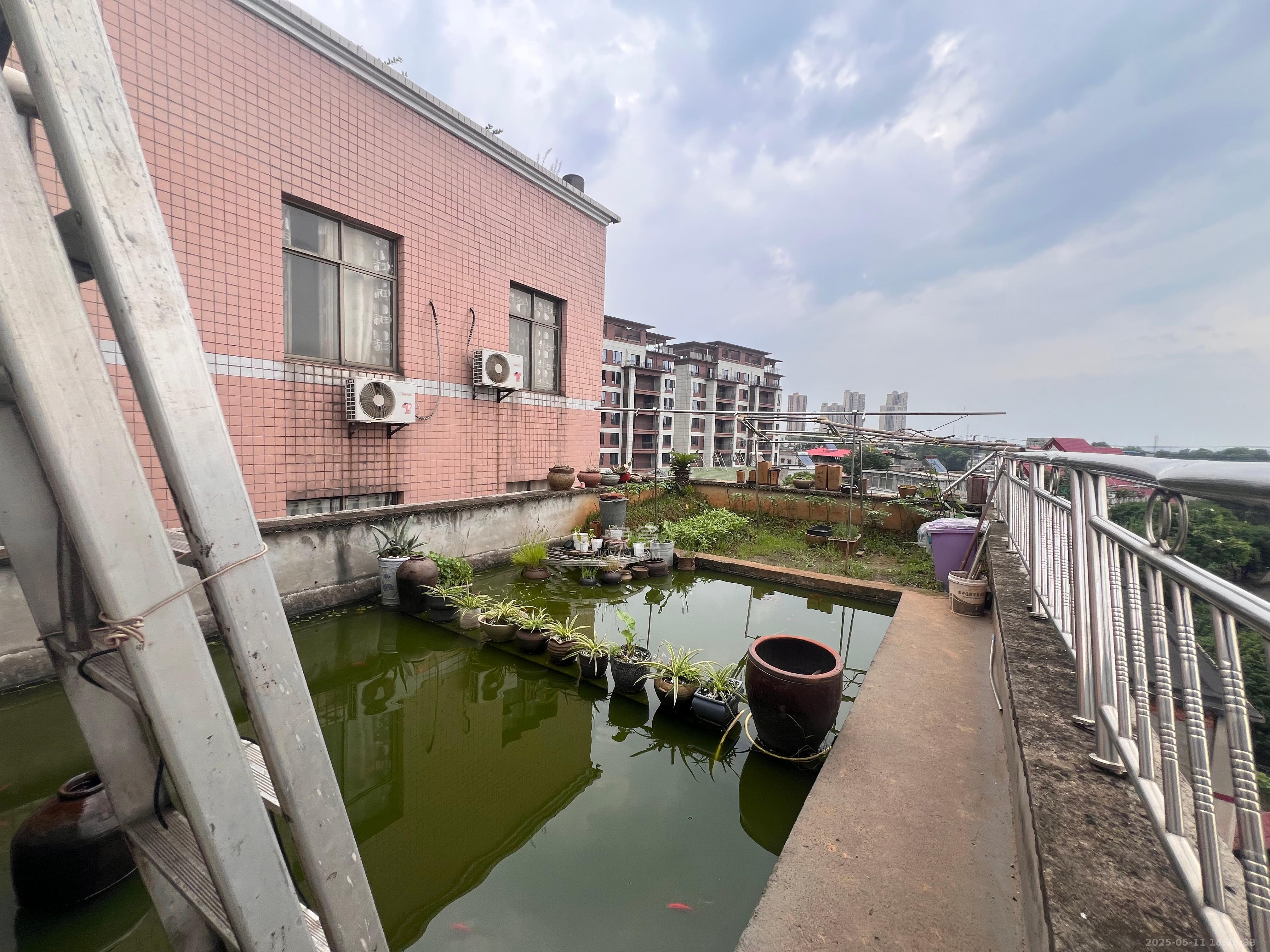 霞城乡散盘 11室3厅8卫 260.0万 霞城乡散盘 11室3厅8卫 260.0万室内图