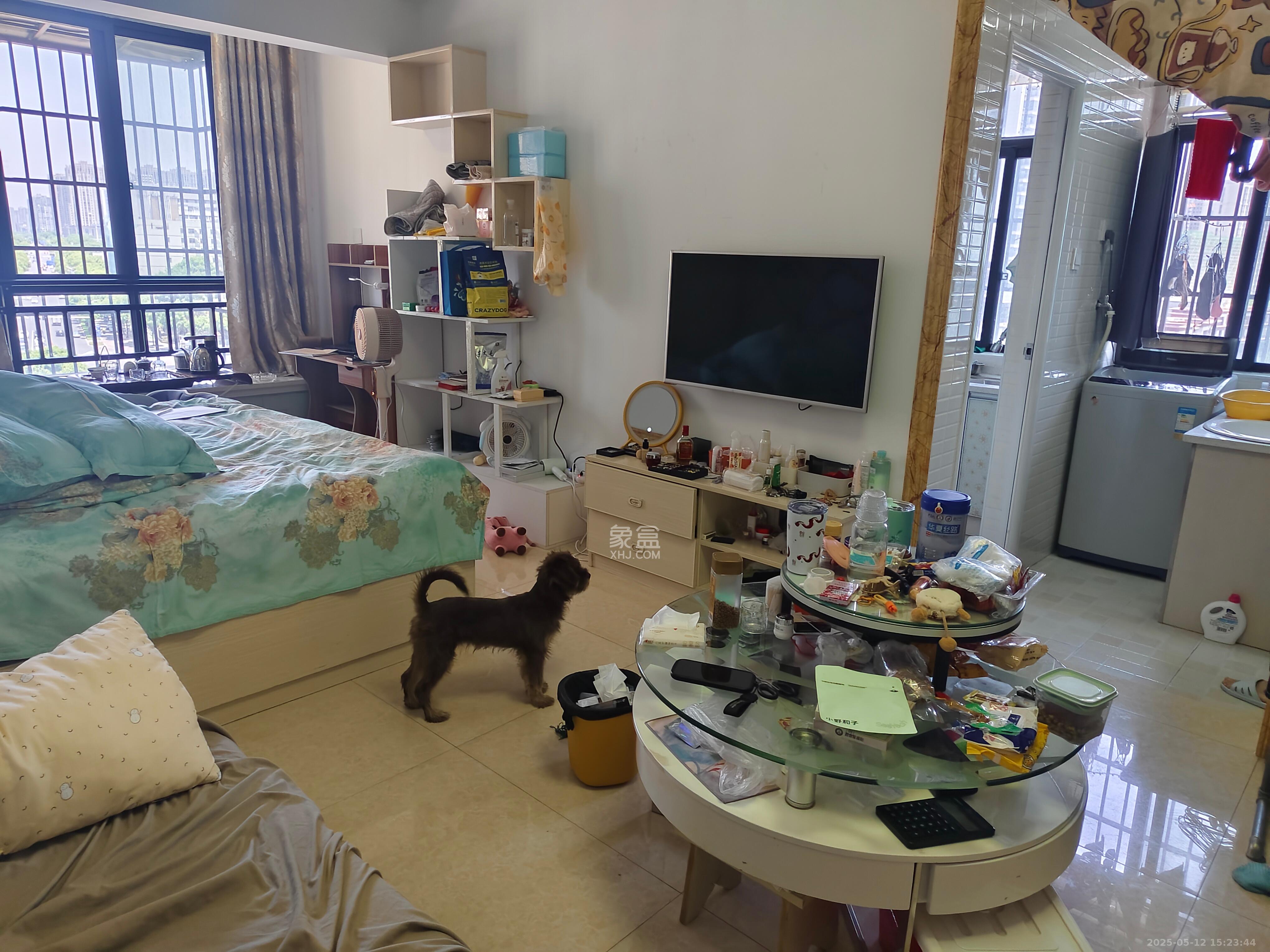 湘江学府  1室1厅1卫   19.80万客厅