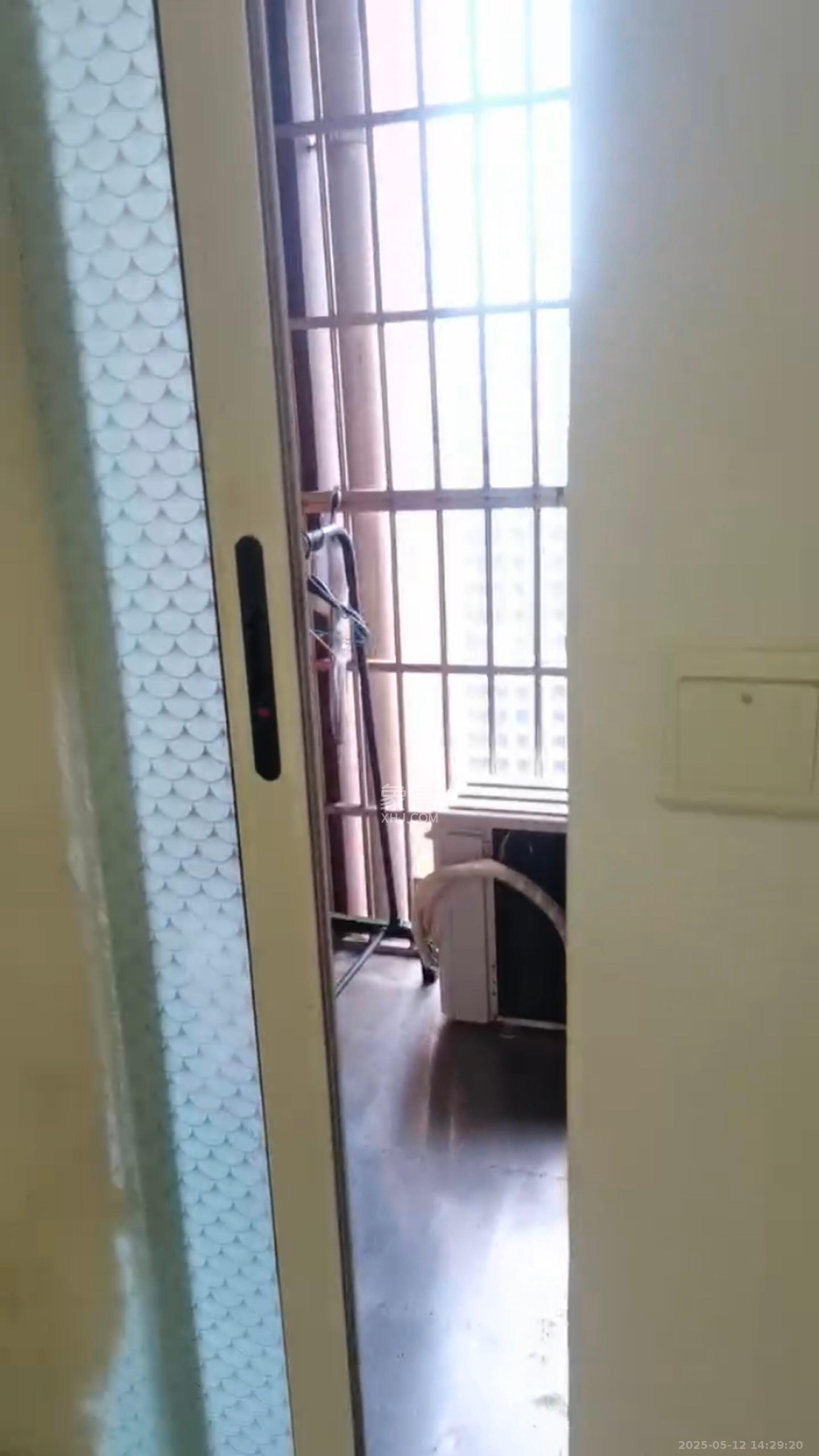 白沙晶城 2室1厅1卫 1900.0元/月 白沙晶城 2室1厅1卫 1900.0元/月室内图