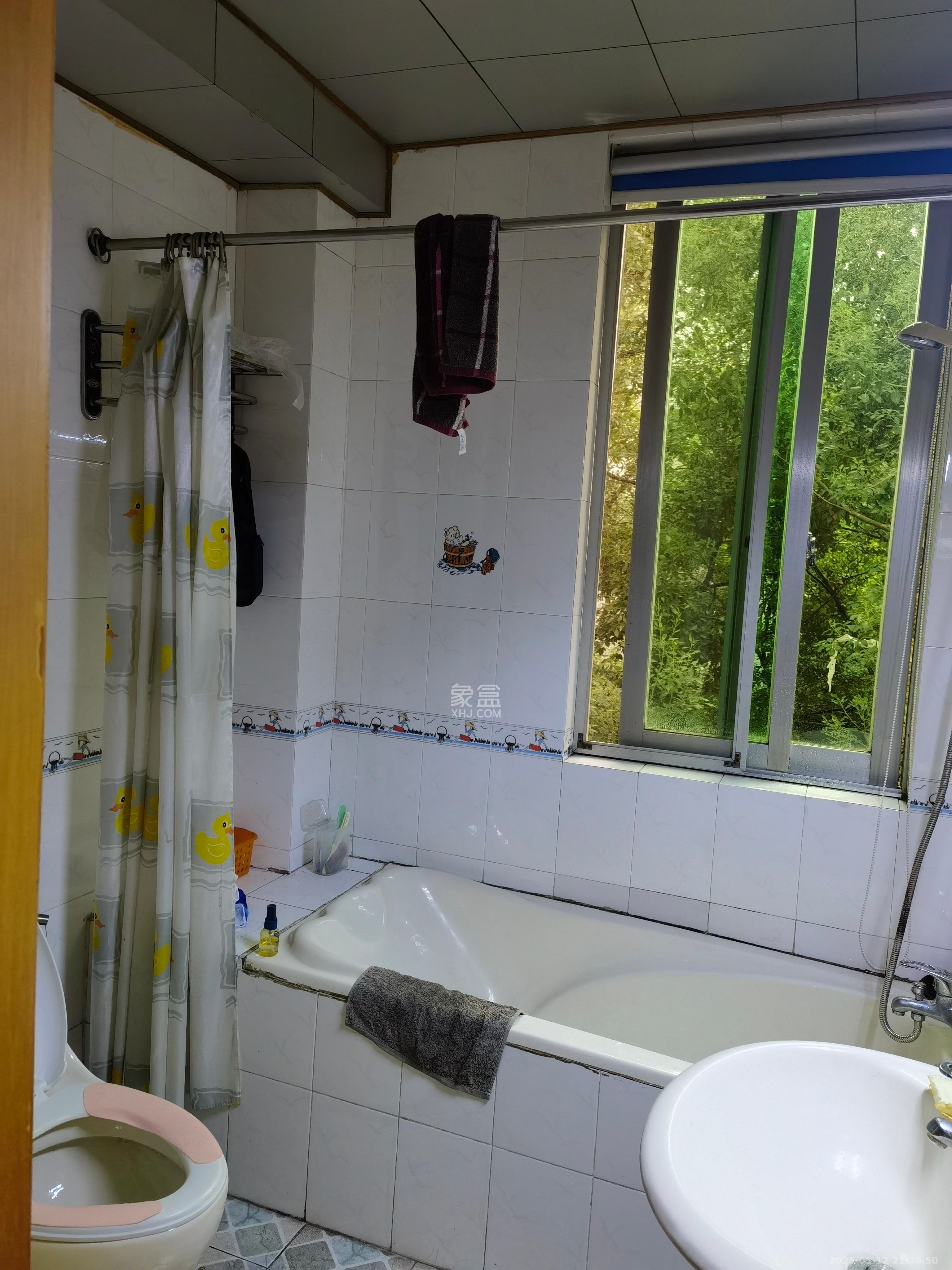 咸嘉新村嘉明苑  3室2厅2卫    2300.0元/月室内图