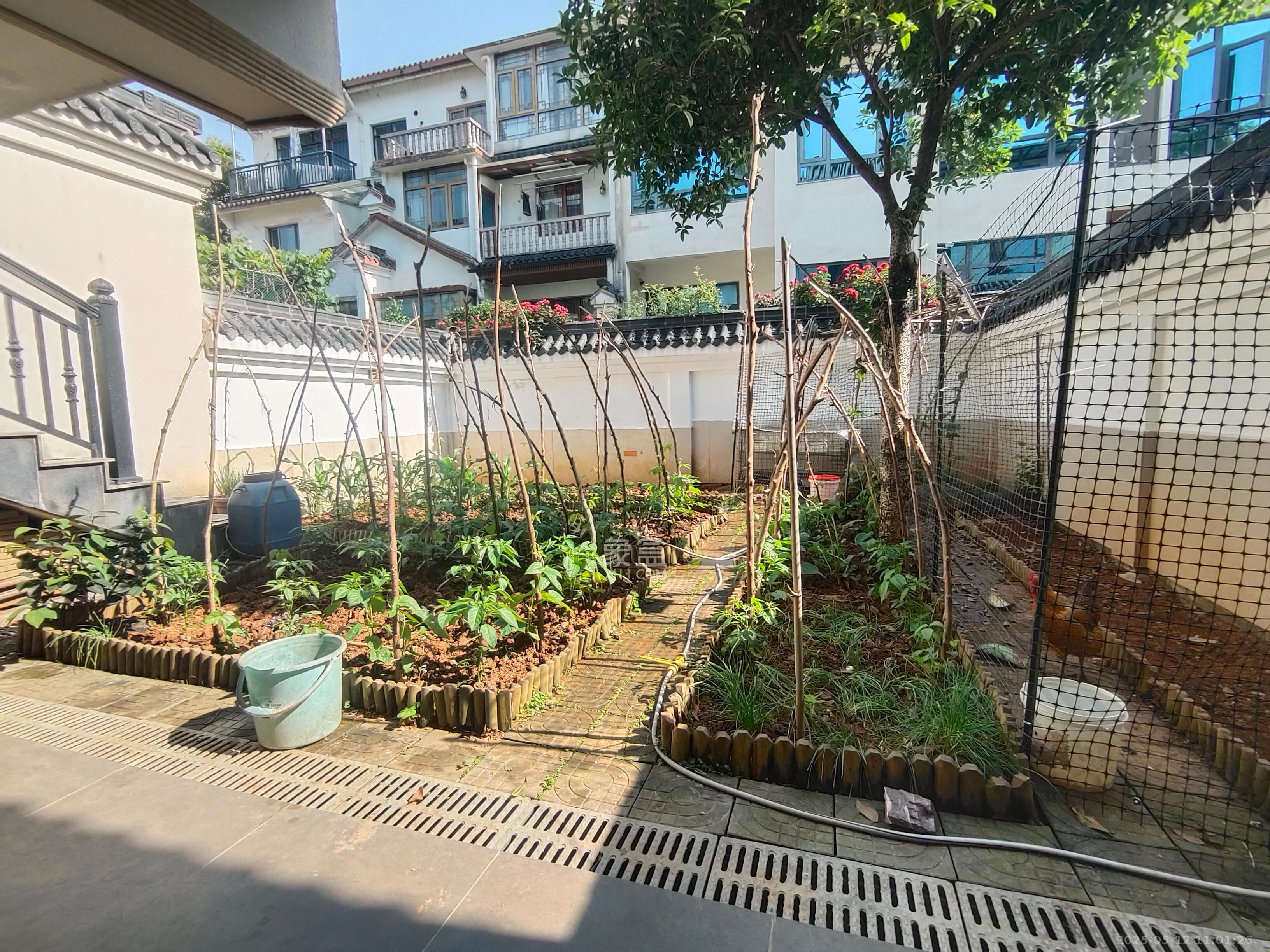 汀湘十里 7室3厅4卫 15000.0元/月 汀湘十里 7室3厅4卫 15000.0元/月室内图