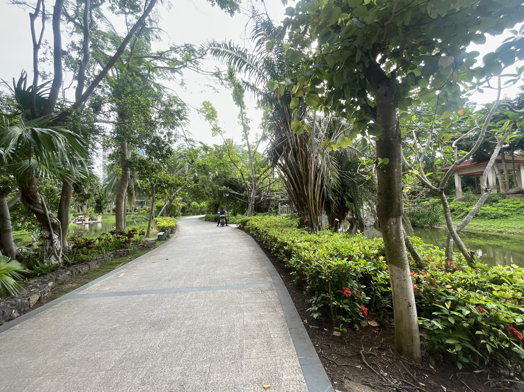 水云天 4室2厅2卫 236.0万 水云天 4室2厅2卫 236.0万室内图