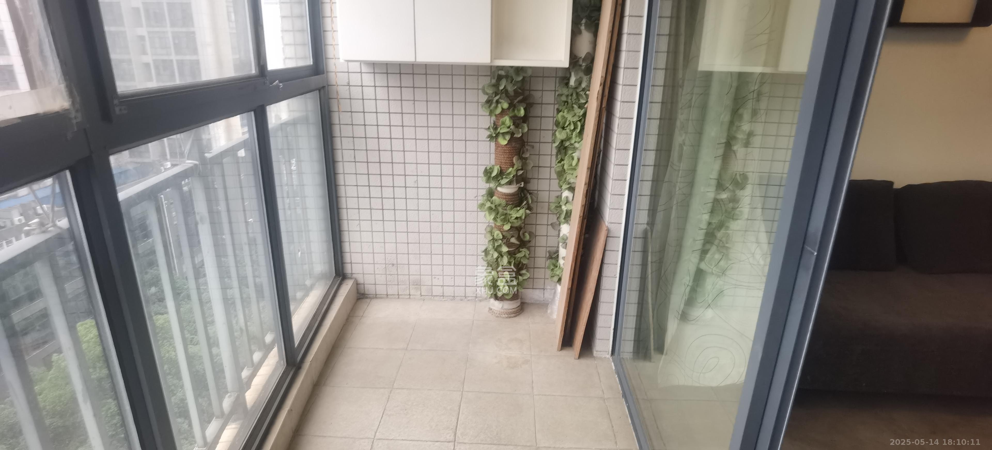 金麓国际 3室2厅1卫 2250.0元/月 金麓国际 3室2厅1卫 2250.0元/月室内图