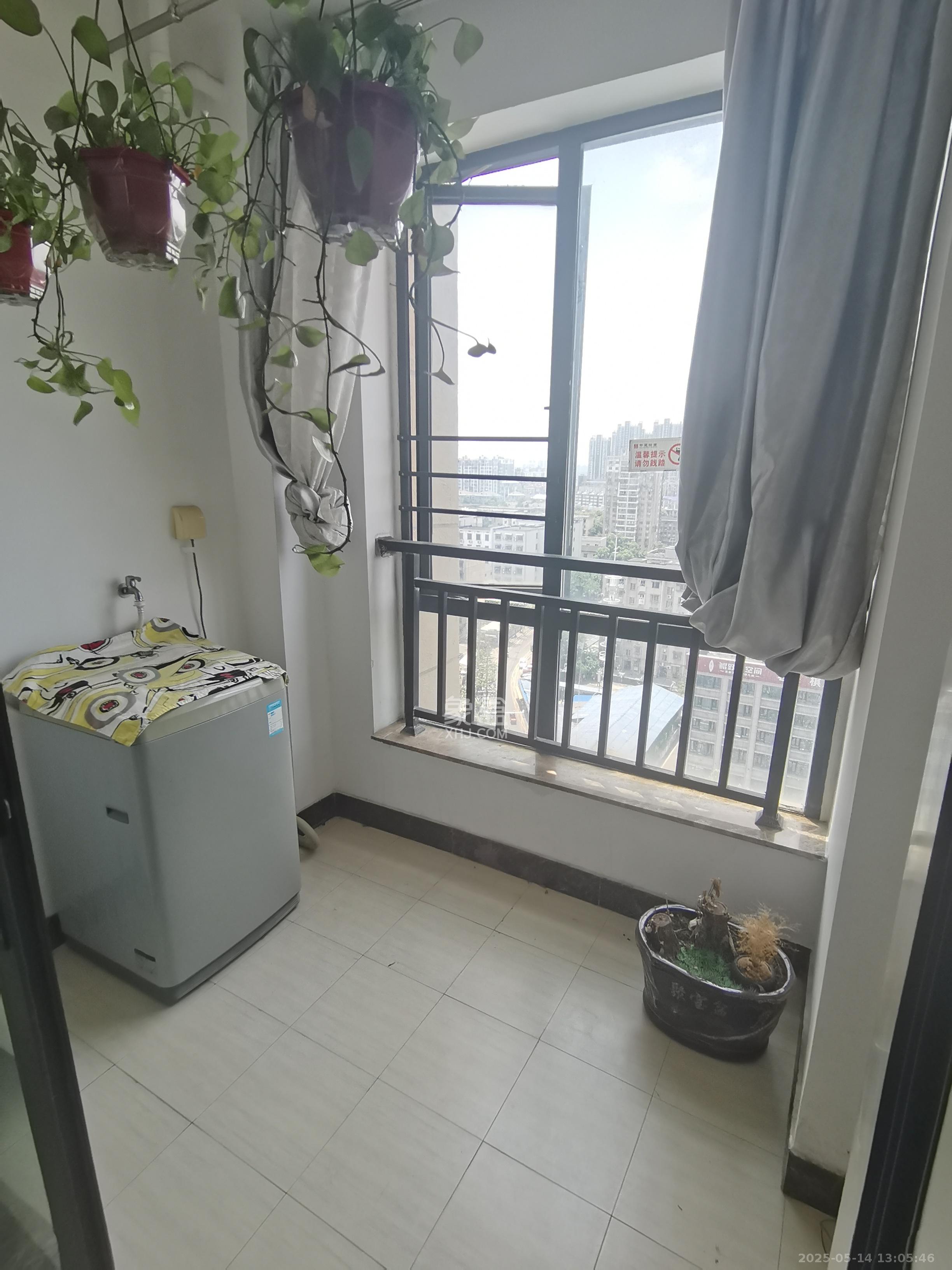 中建木莲工社  1室1厅1卫    1580.0元/月室内图