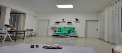 阳光西海岸三期南区(白云公寓（洋房区）  1室2厅1卫   2300.00元/月