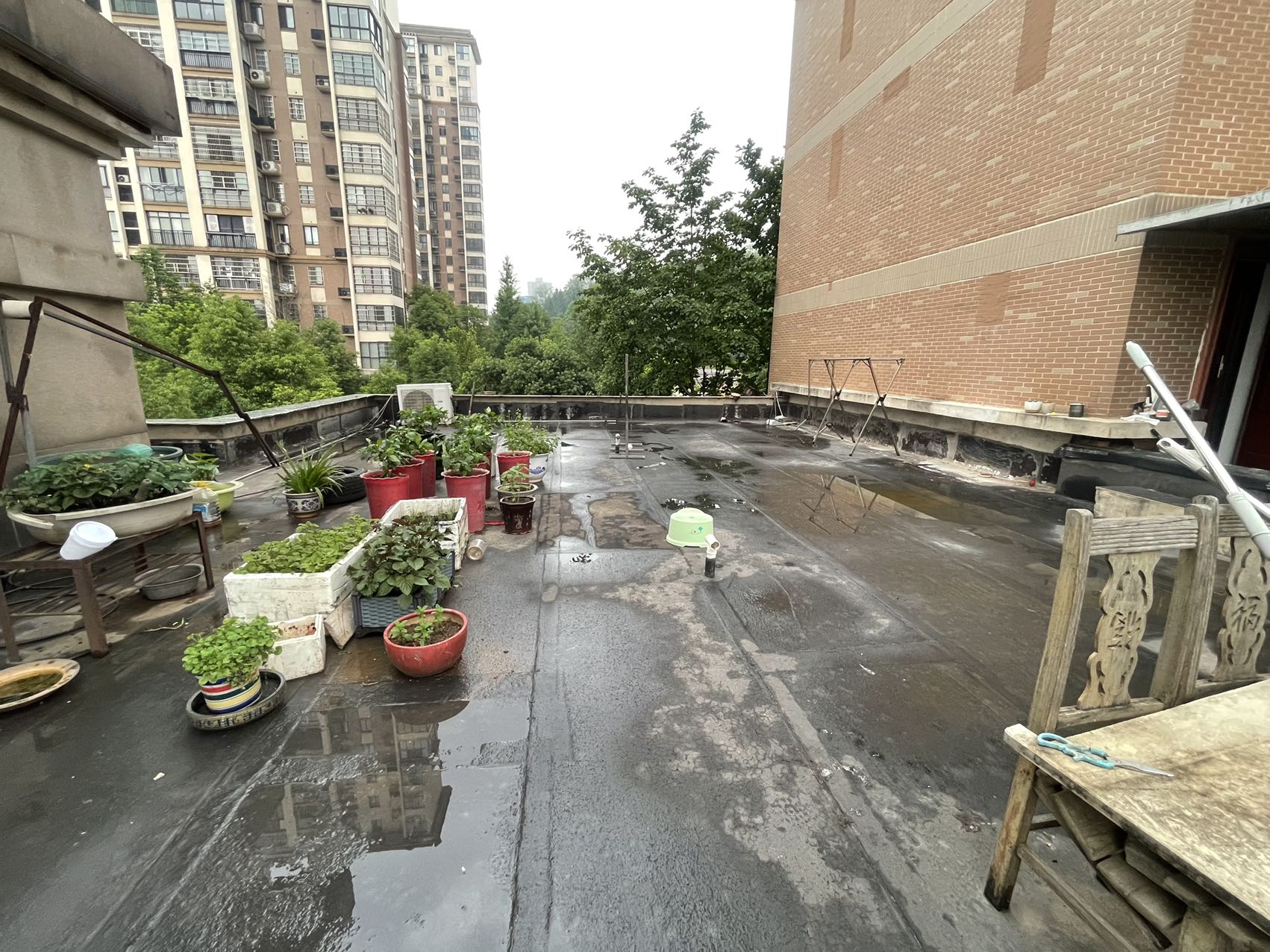 颐景园3期协力小区  3室2厅1卫   69.80万室内图