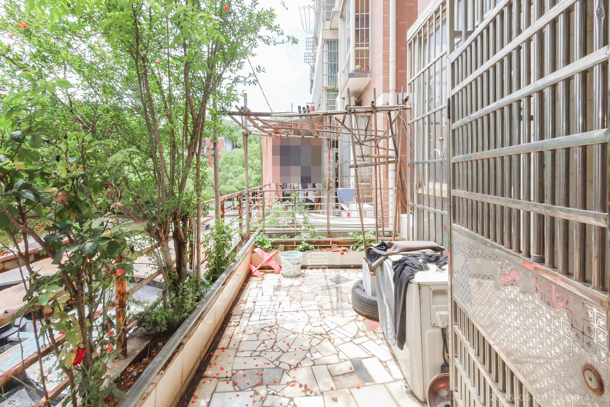 枫林绿洲  3室2厅2卫    86.0万 枫林绿洲  3室2厅2卫    86.0万阳台