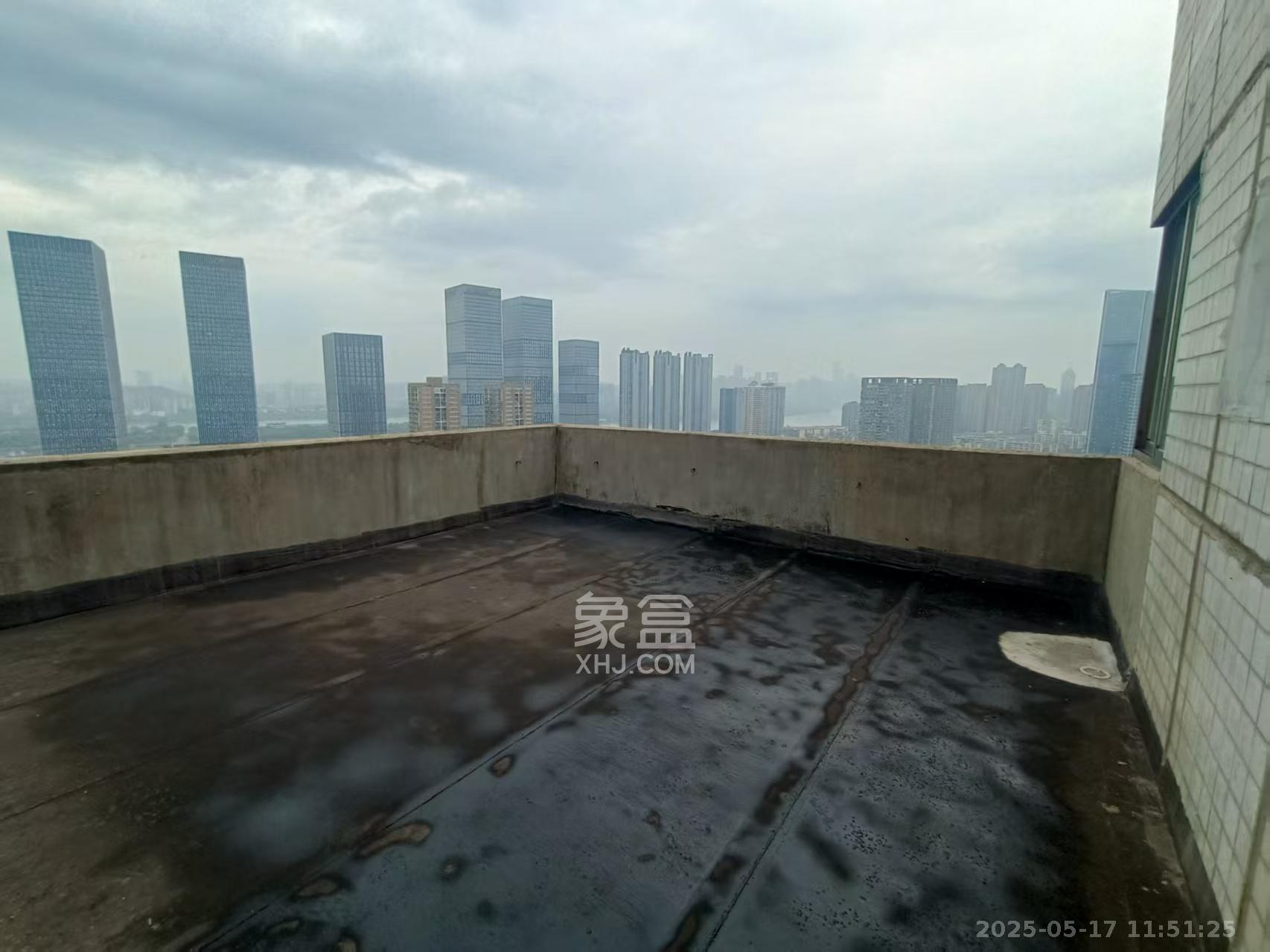 新大新  3室2厅2卫   5000.00元/月室内图
