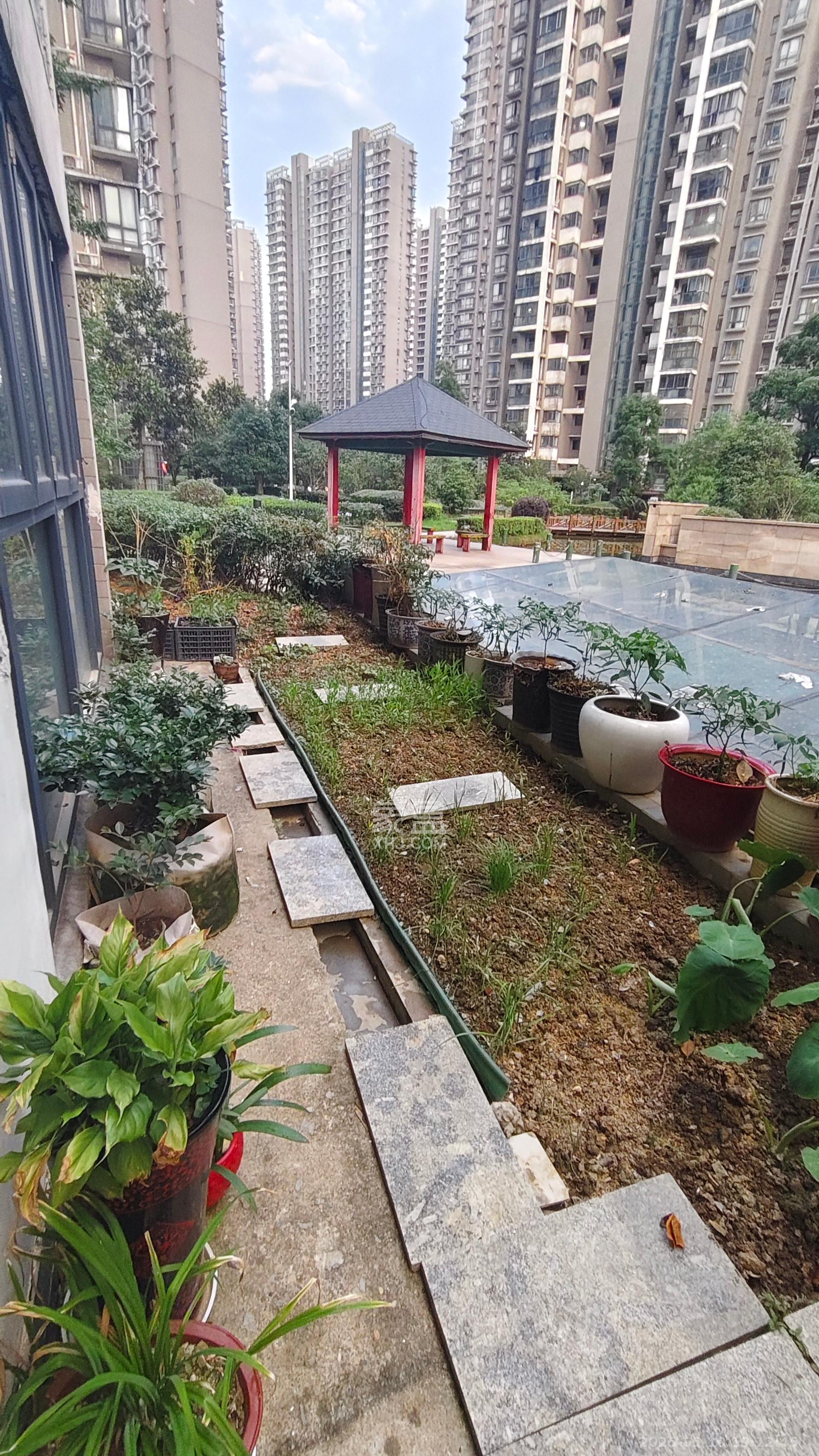 湘江世纪城融江苑  2室1厅1卫    2300.0元/月 湘江世纪城融江苑  2室1厅1卫    2300.0元/月