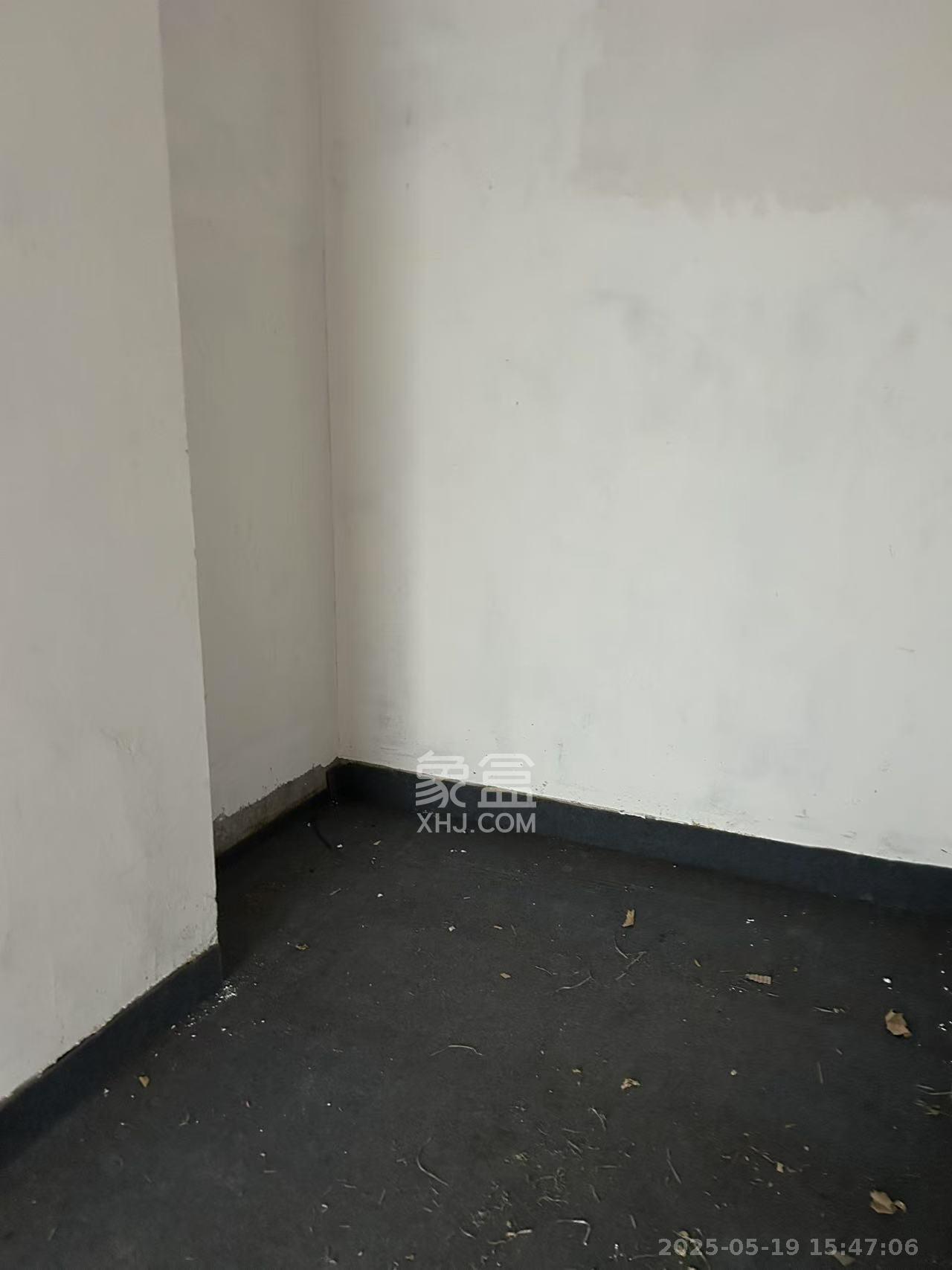 中江国际花城 3室2厅2卫 1800.0元/月 中江国际花城 3室2厅2卫 1800.0元/月室内图