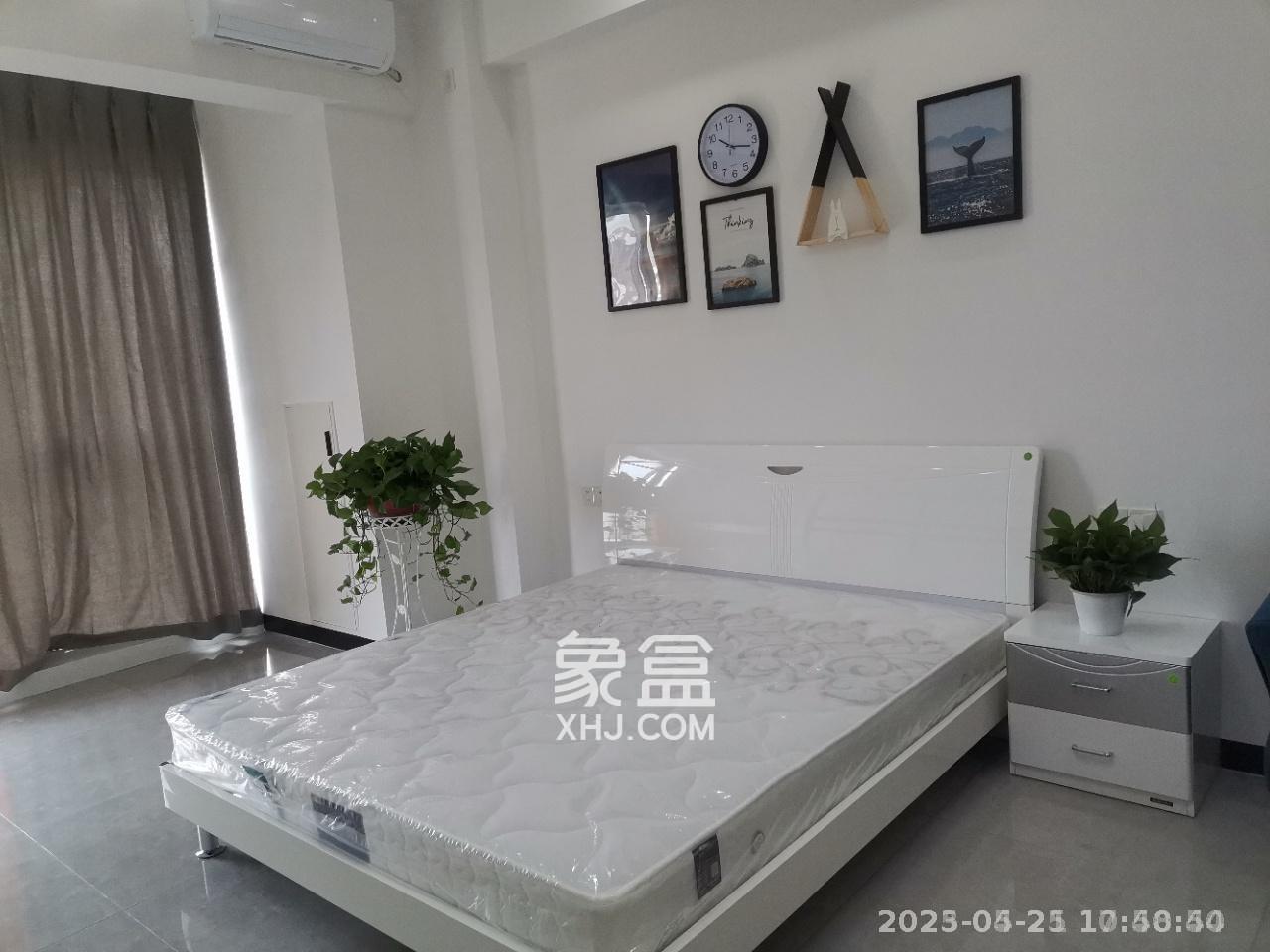 奥克斯滨仕花园（奥克斯洋湖广场/奥克斯中心）  1室1厅1卫   1800.00元/月室内图