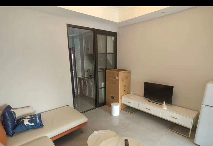 江岸公馆  1室1厅1卫    1300.0元/月 江岸公馆  1室1厅1卫    1300.0元/月室内图