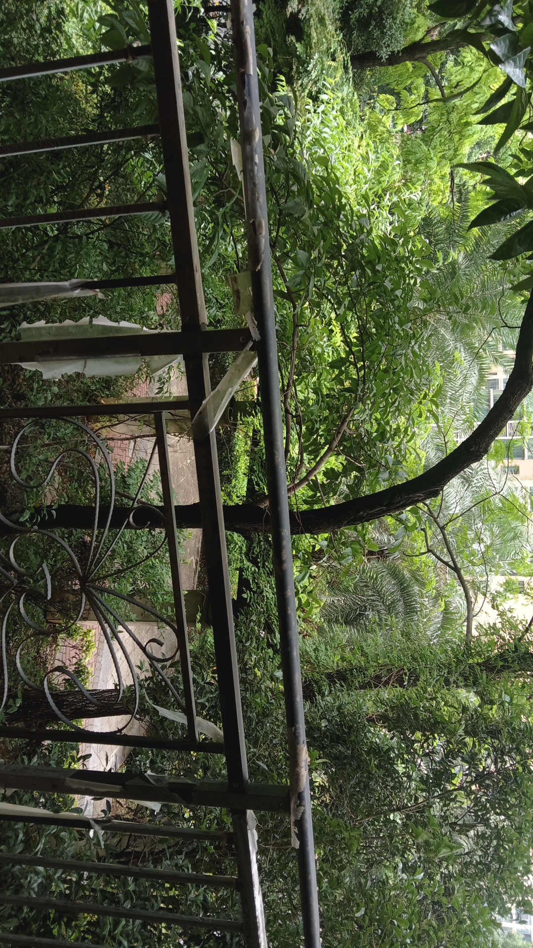 水映豪廷(一,二,三期) 1室0厅0卫 1500.0元/月 水映豪廷(一,二,三期) 1室0厅0卫 1500.0元/月室内图