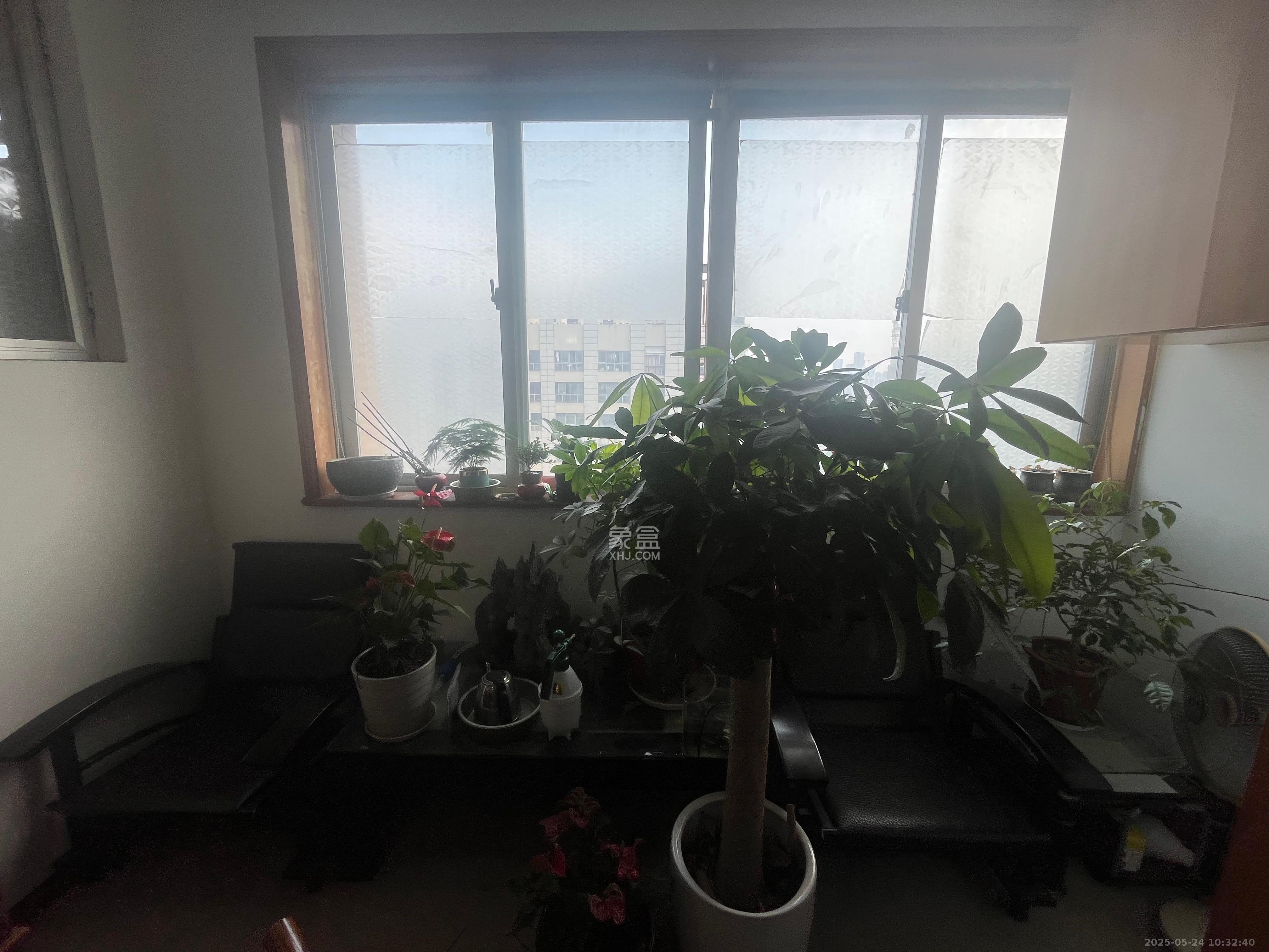 上河国际F座  1室1厅1卫   1500.00元/月室内图