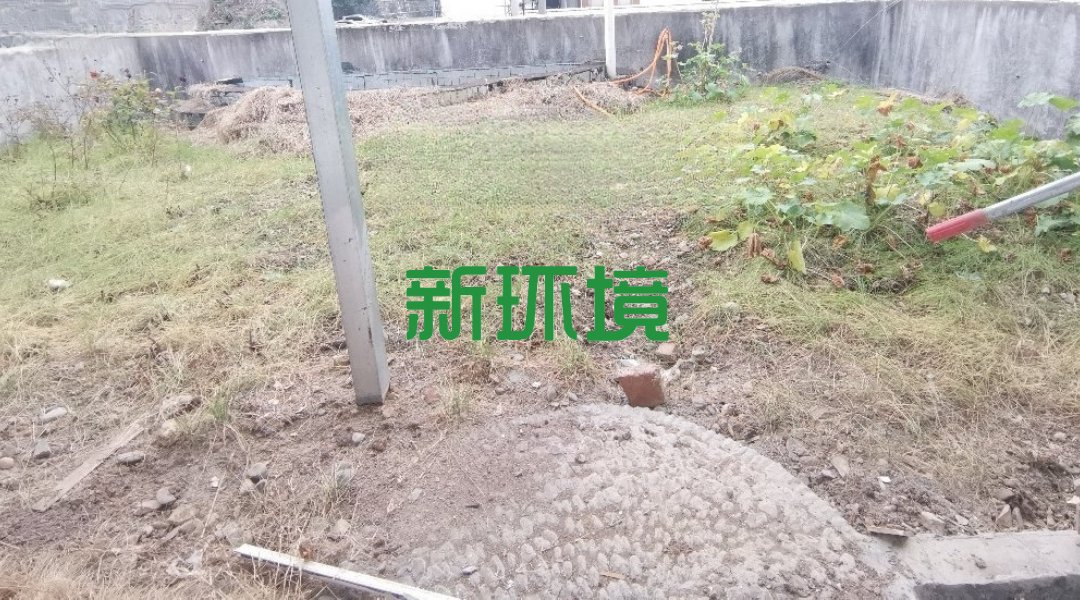 亘立龙凤小区  4室2厅2卫    2000.0元/月室内图