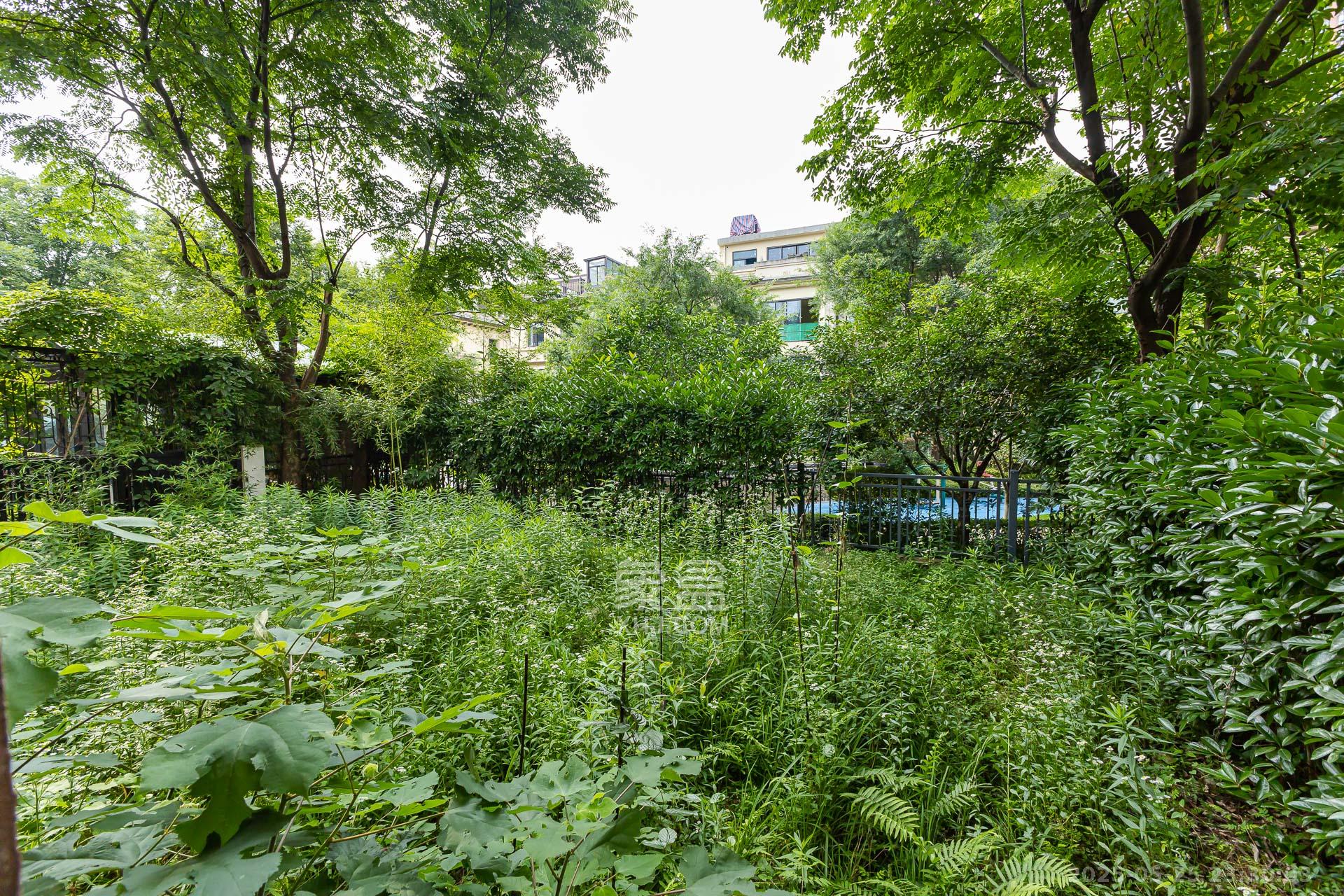龙湖璟宸原著（龙湖紫宸）  6室1厅1卫   520.00万其他