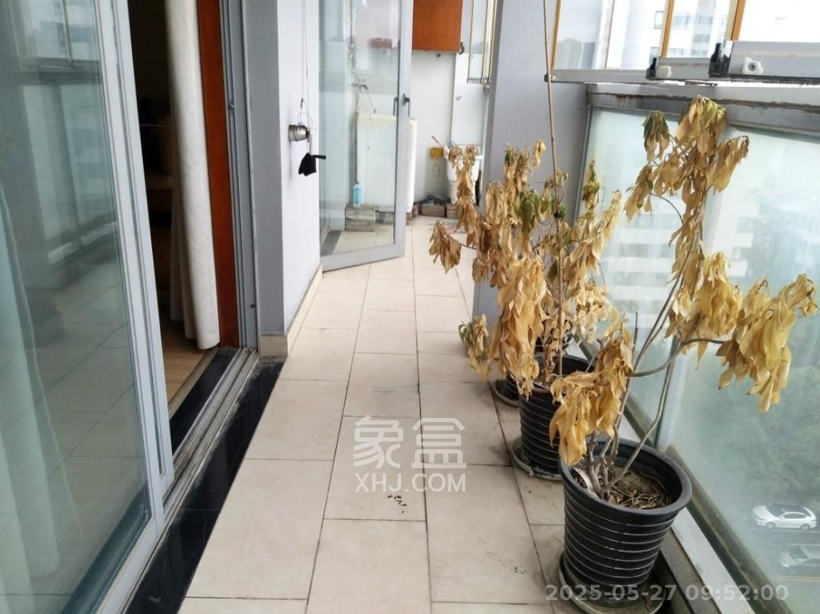 阳光100二期  3室2厅2卫   2700.00元/月室内图