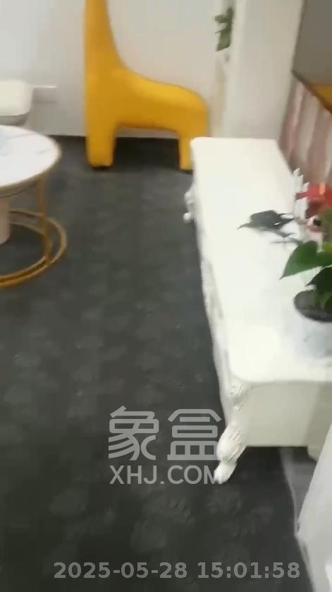 江南华府  2室1厅1卫   2400.00元/月室内图