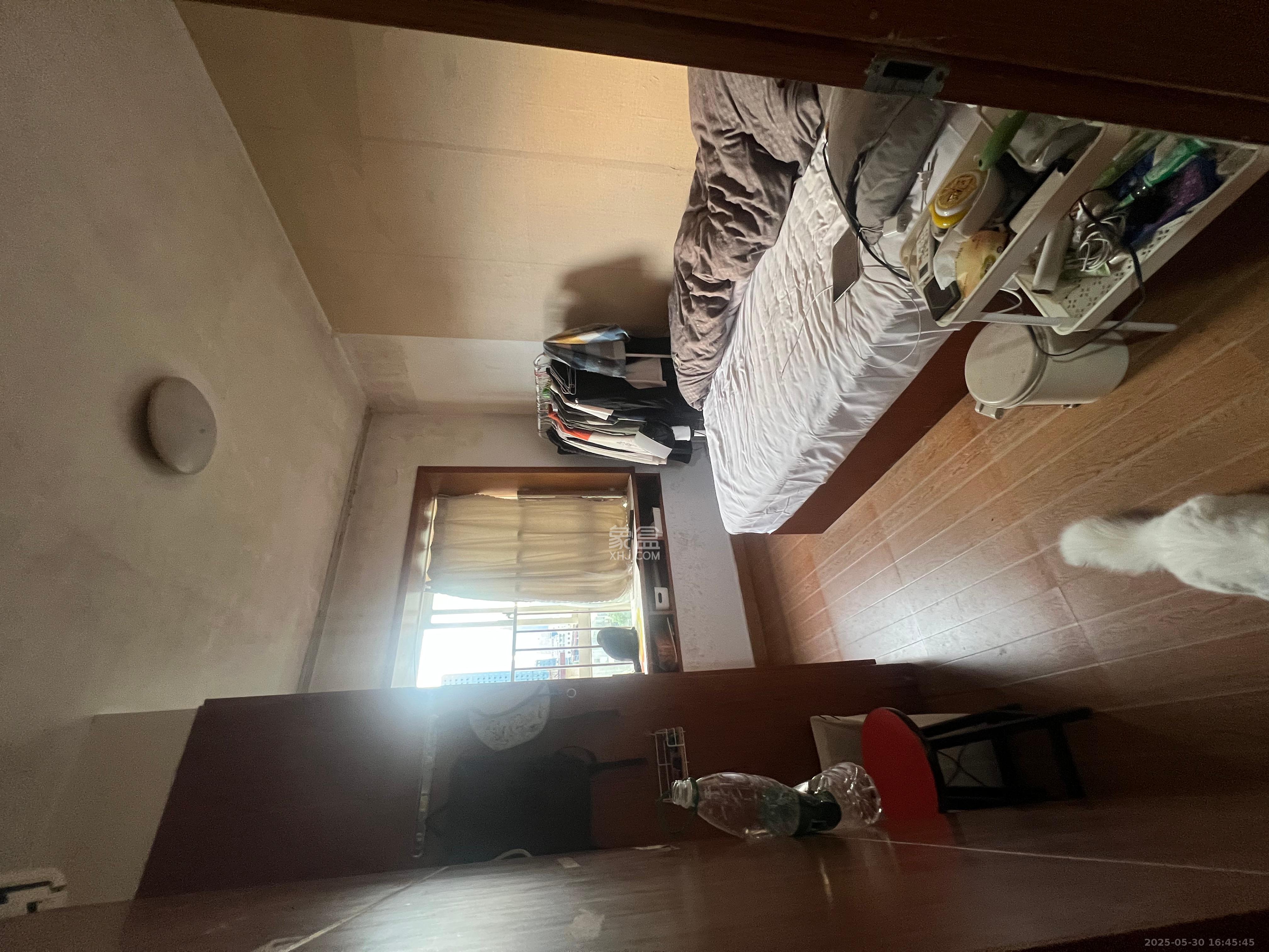 白沙晶城  1室1厅0卫   1800.00元/月室内图